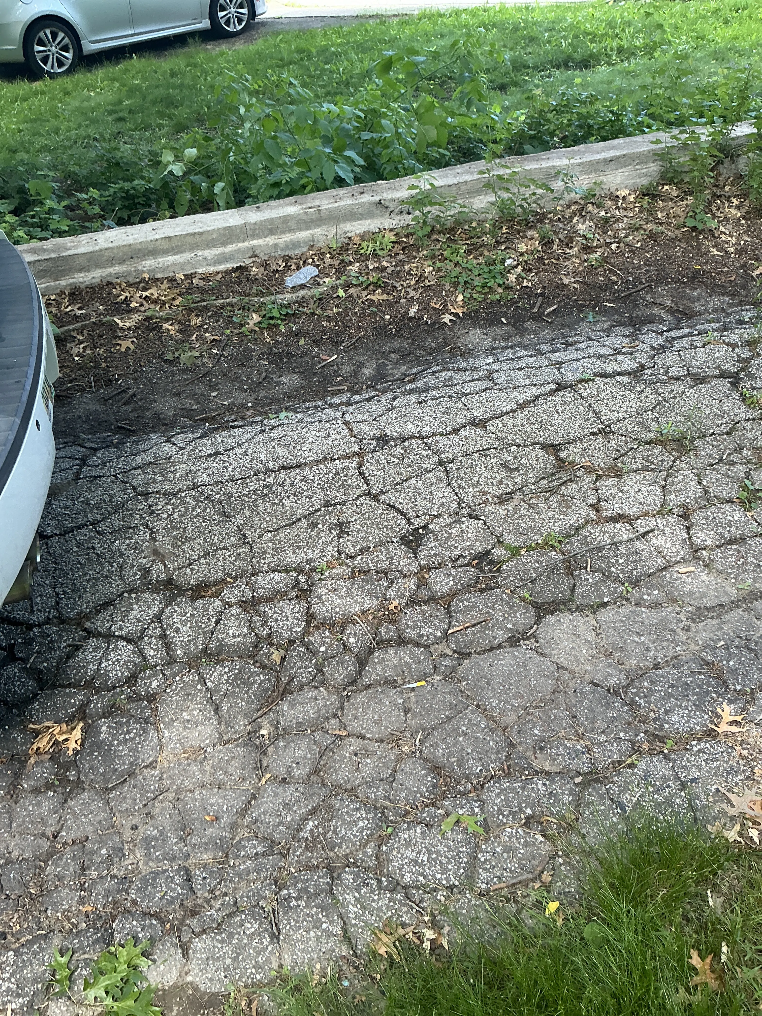 Severely cracked asphalt driveway pavement requiring repair 2026-08-06