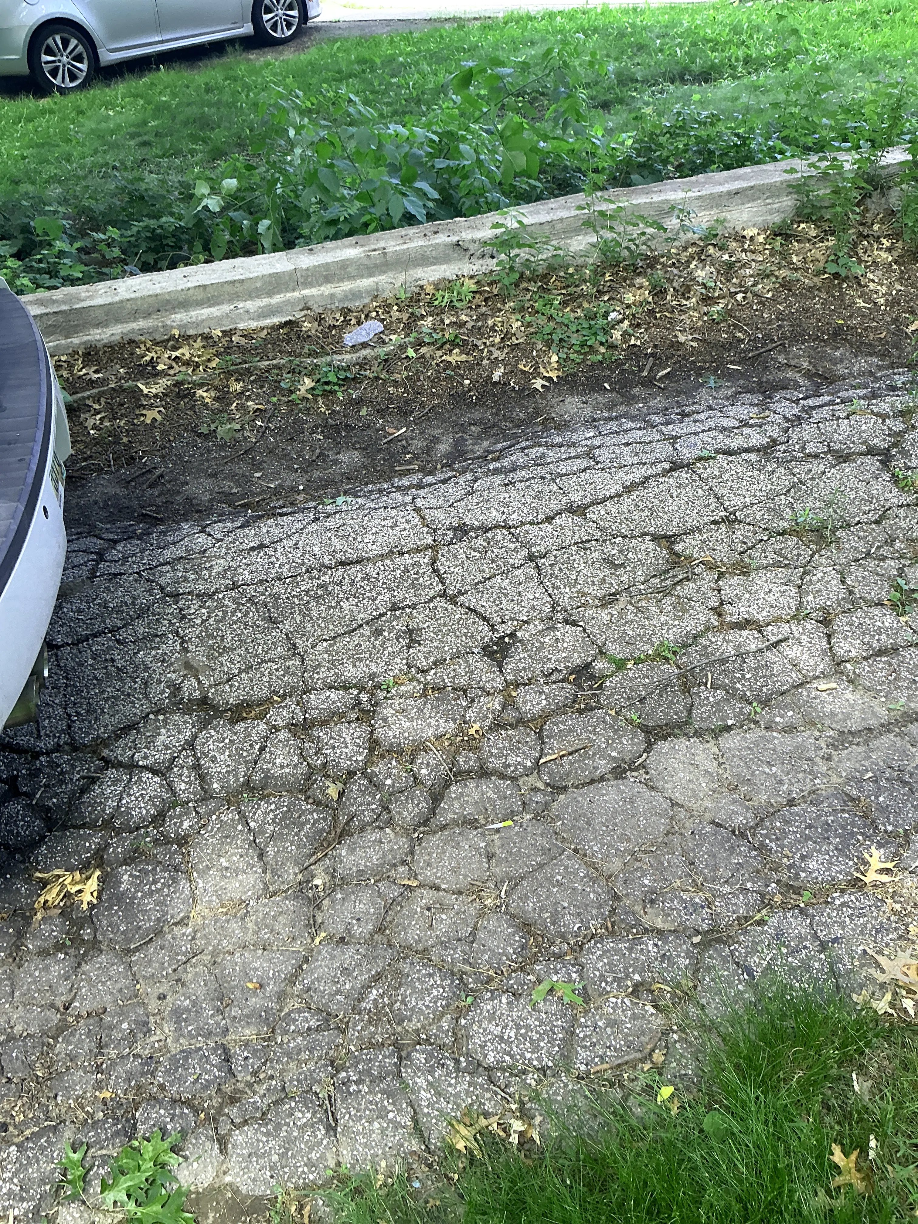 Severely cracked asphalt driveway pavement requiring repair 2026-08-11