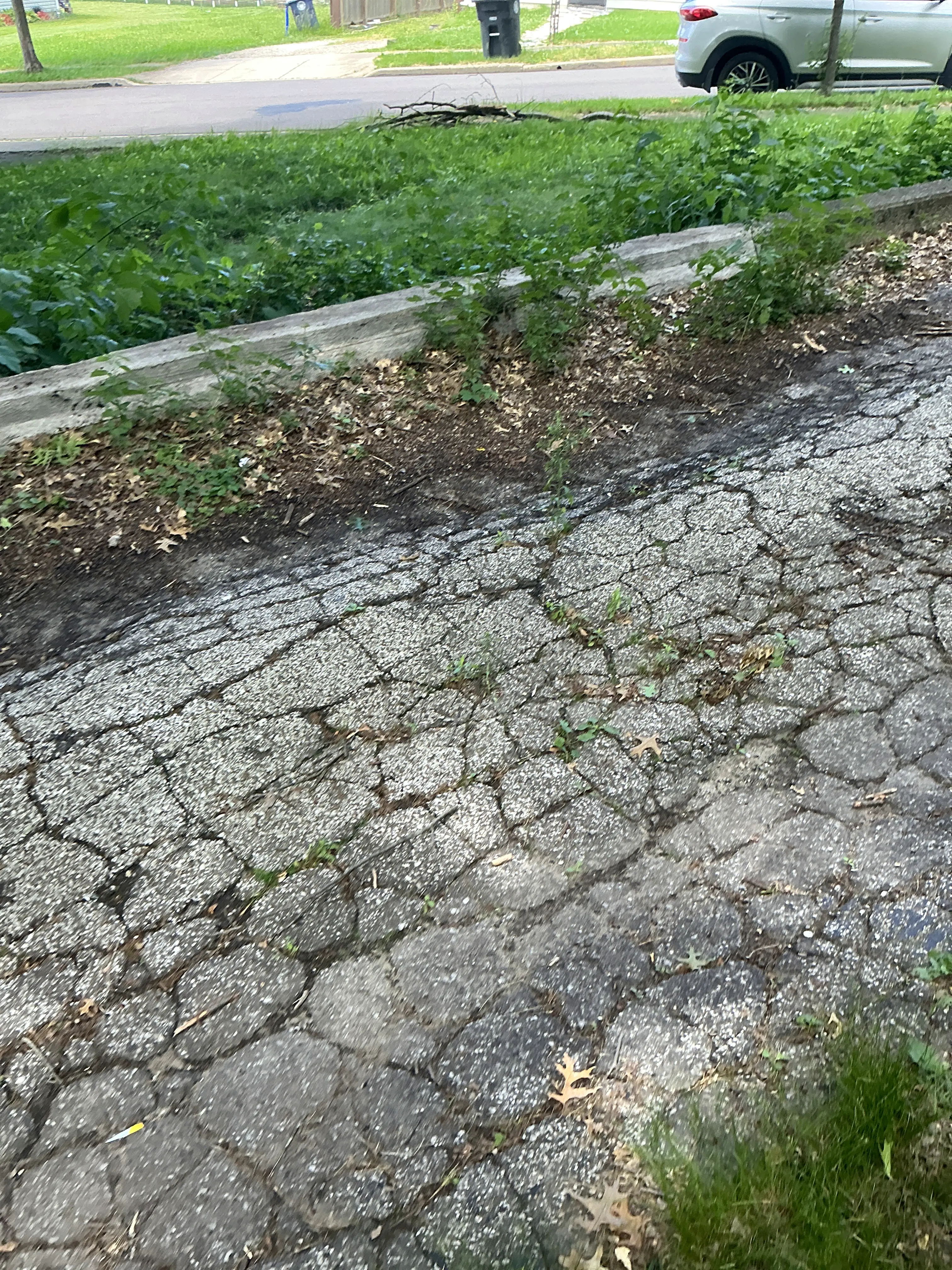 Heavily cracked asphalt driveway with vegetation growth indicating severe pavement deterioration 2026-08-24