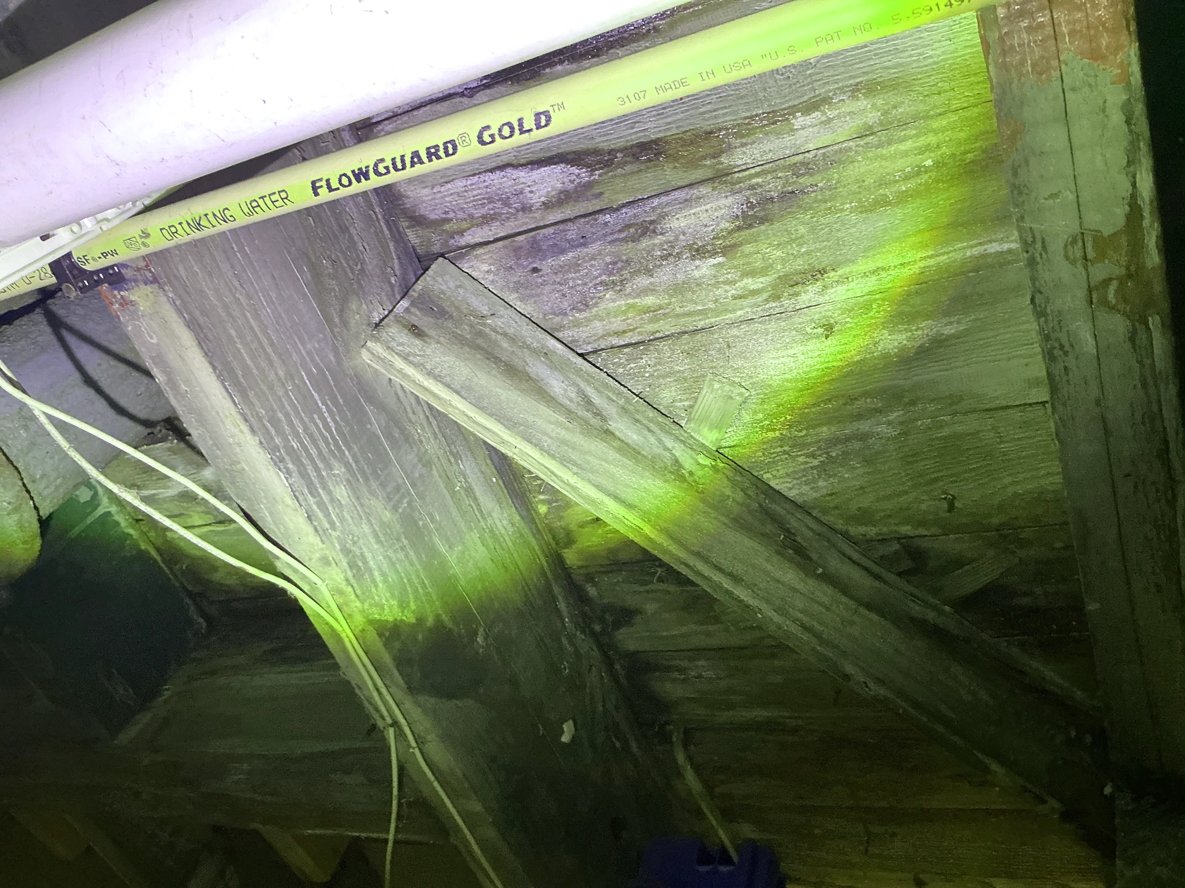 Moisture staining on wooden subfloor near CPVC plumbing pipe in a crawl space 2026-08-31