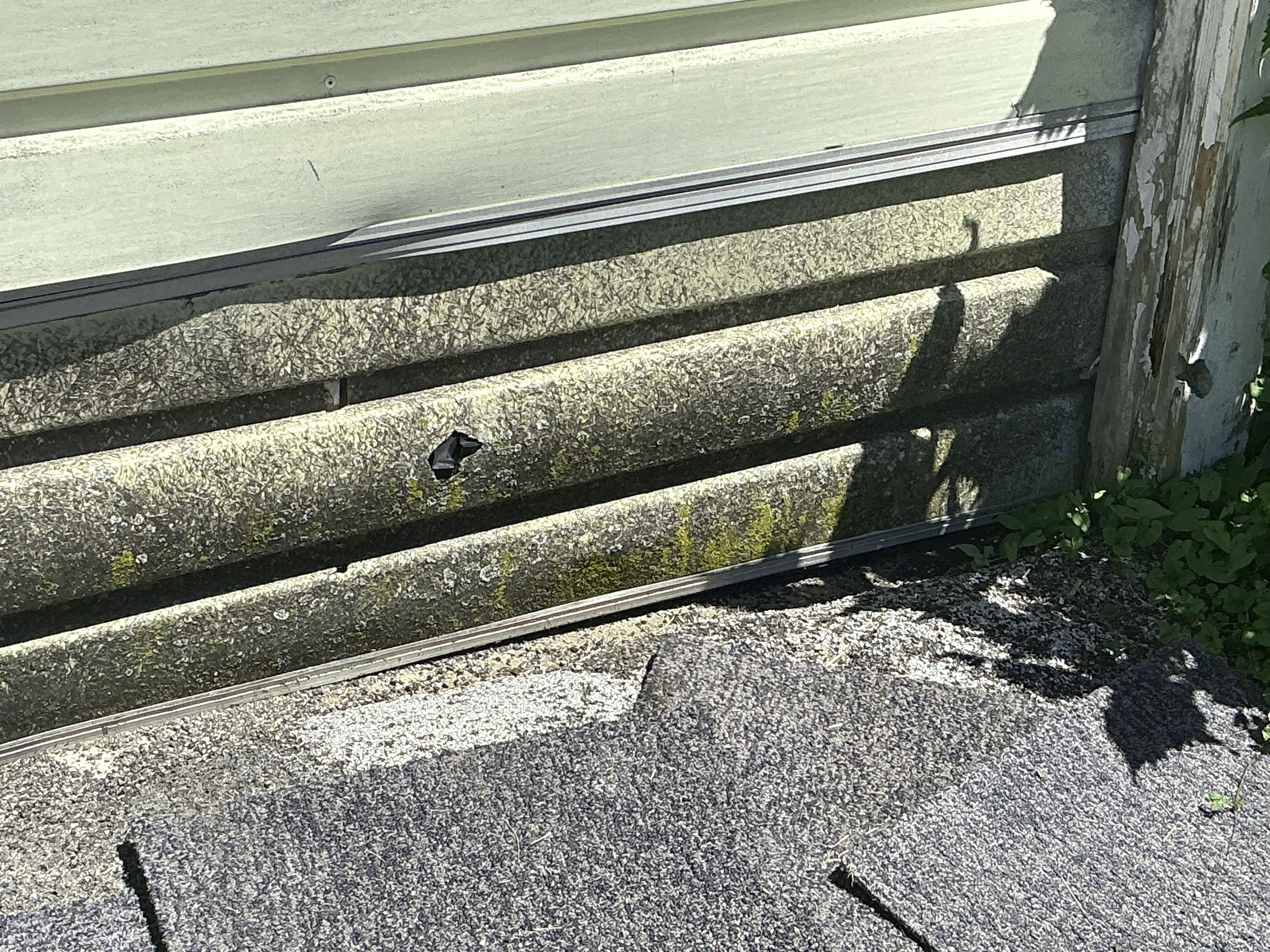 Damaged exterior siding panel with a hole near ground level 2026-08-31