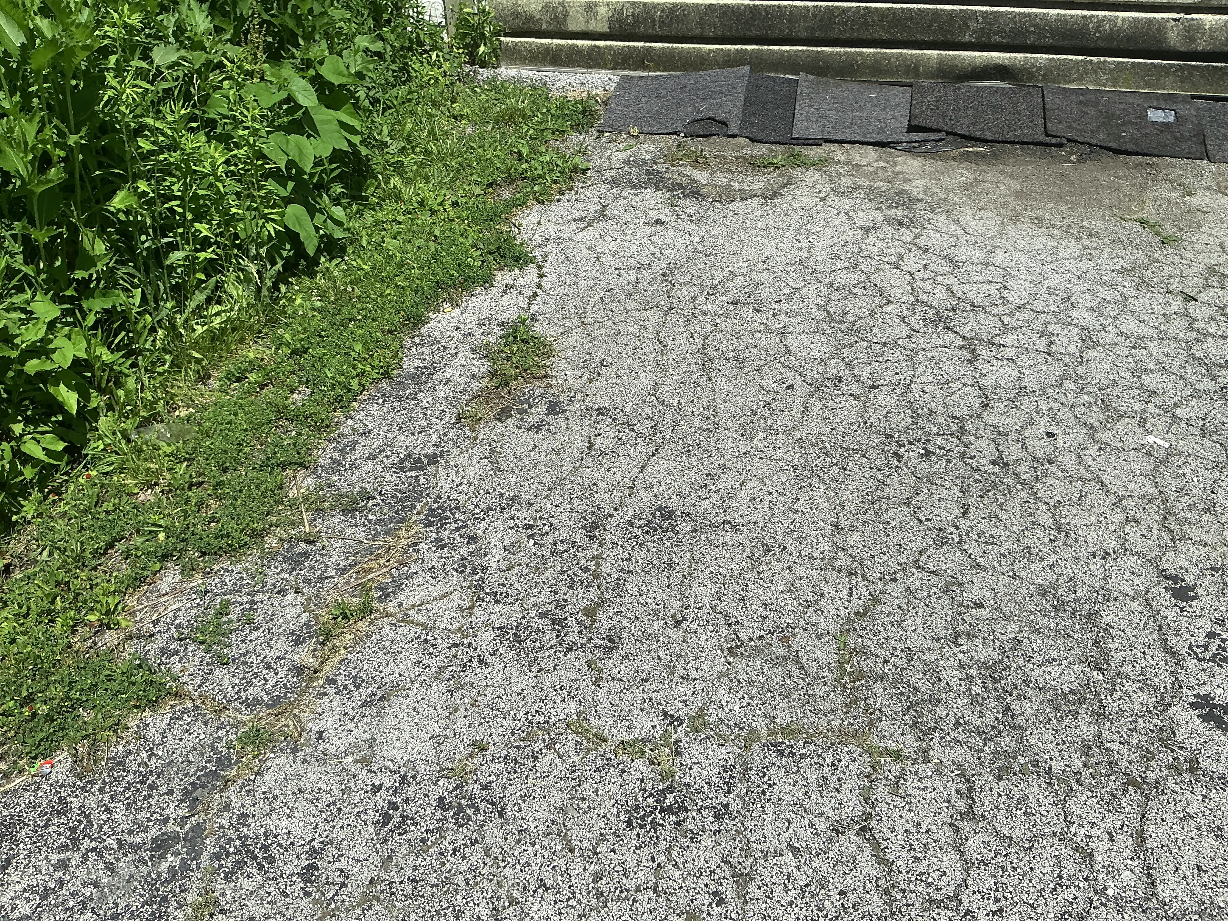 Extensive alligator cracking on weathered asphalt driveway with weed growth 2026-08-02