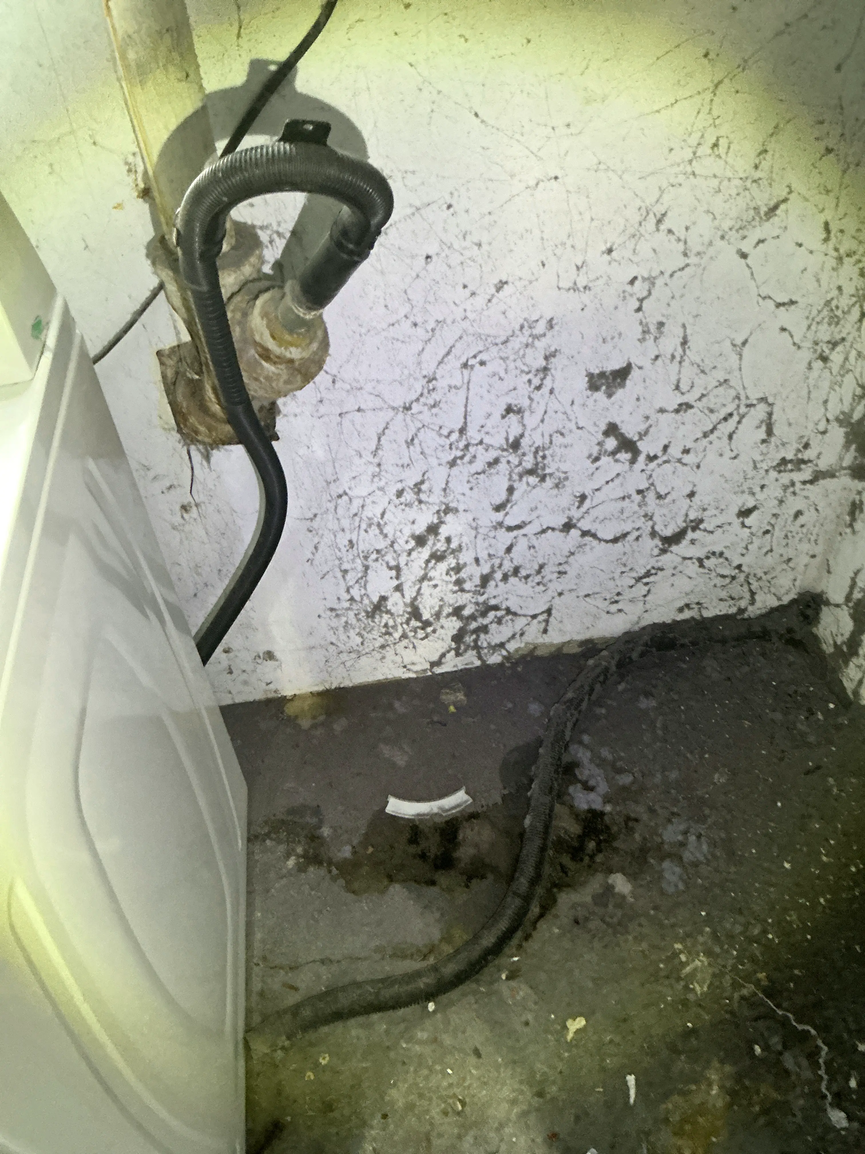 Corroded pipe connection and flexible drain hose behind a washing machine 2026-08-19