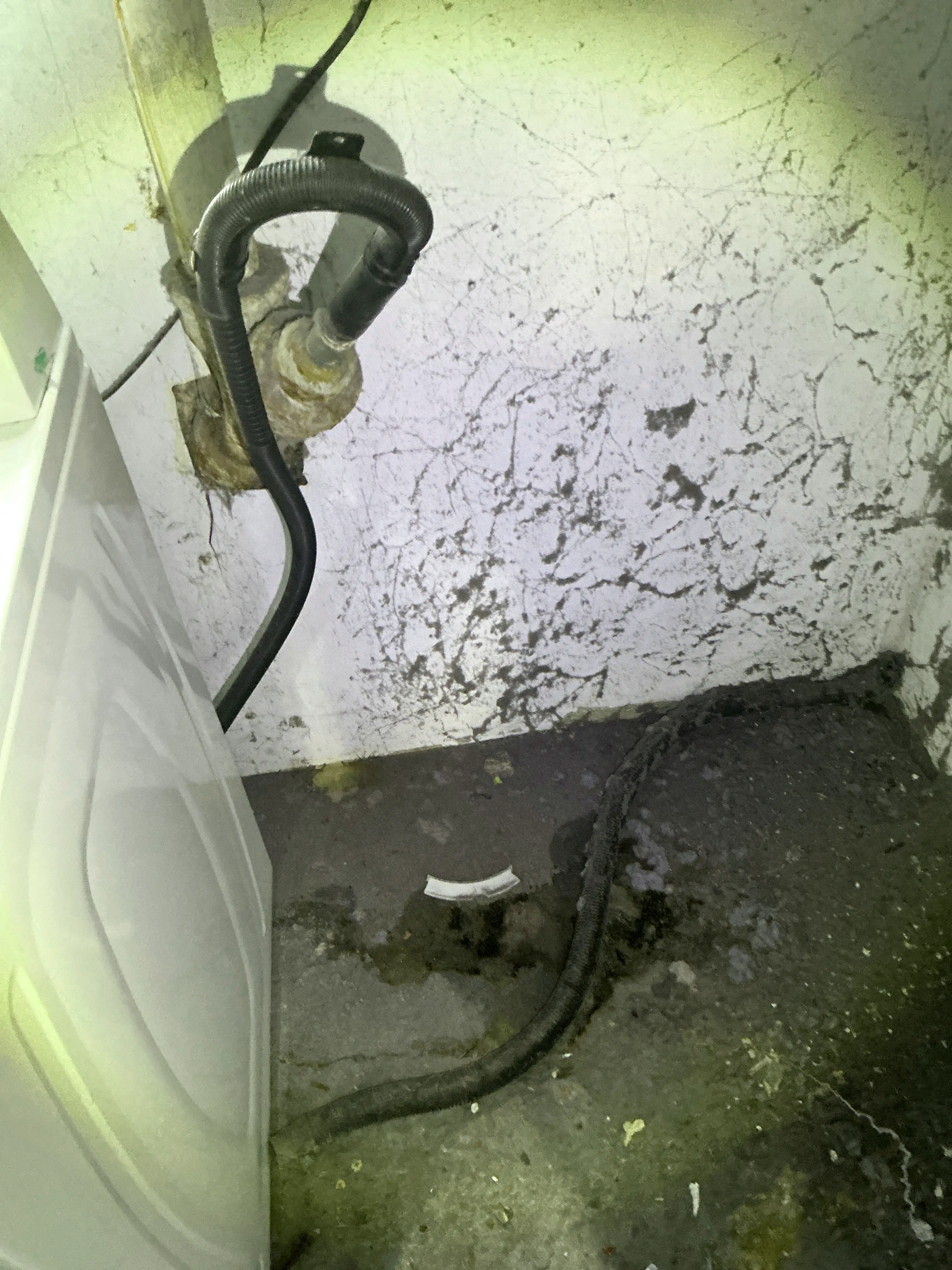 Corroded pipe connection and flexible drain hose behind a washing machine 2026-07-21