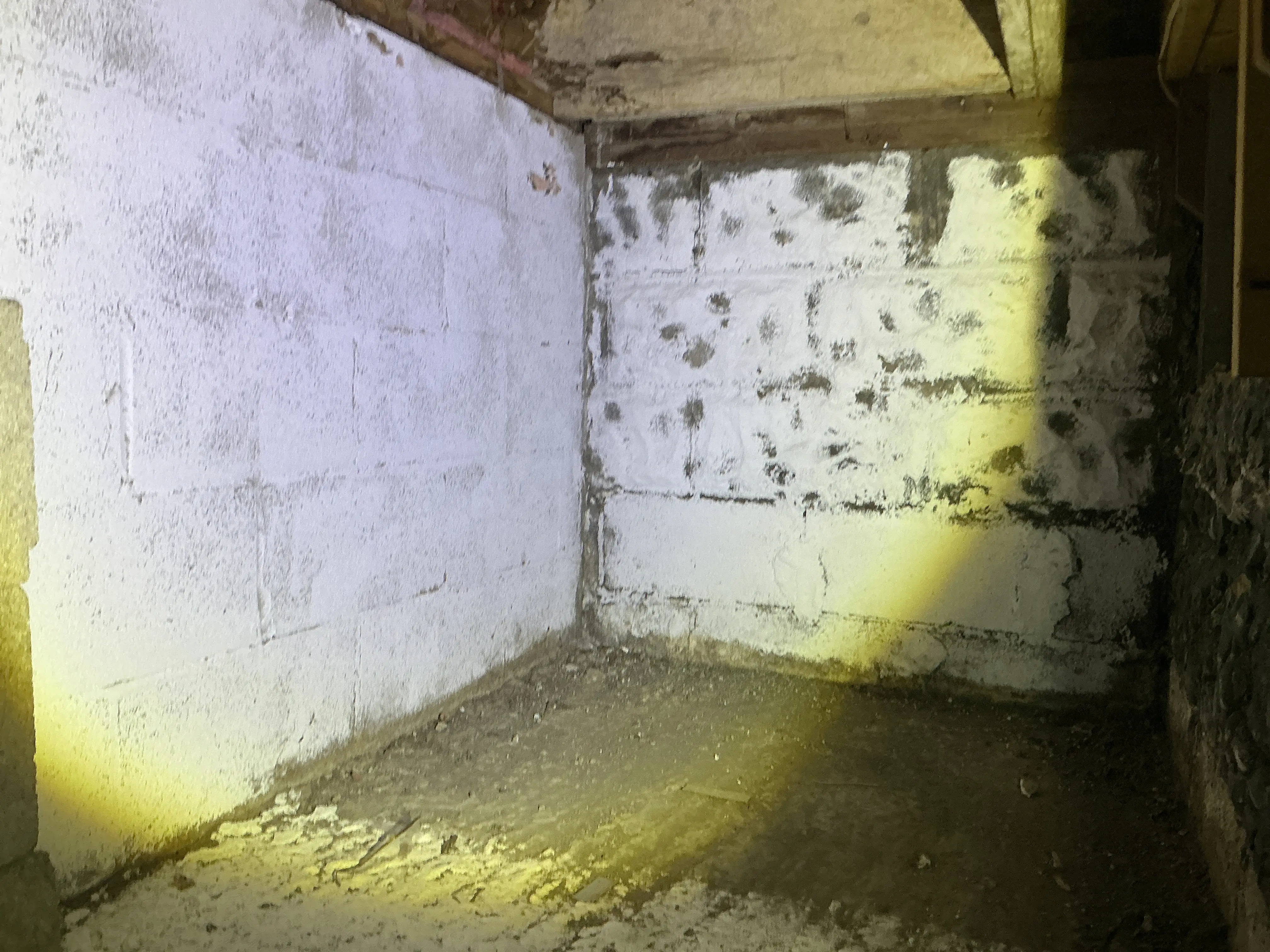 Basement concrete block foundation wall with peeling paint and efflorescence 2026-08-22