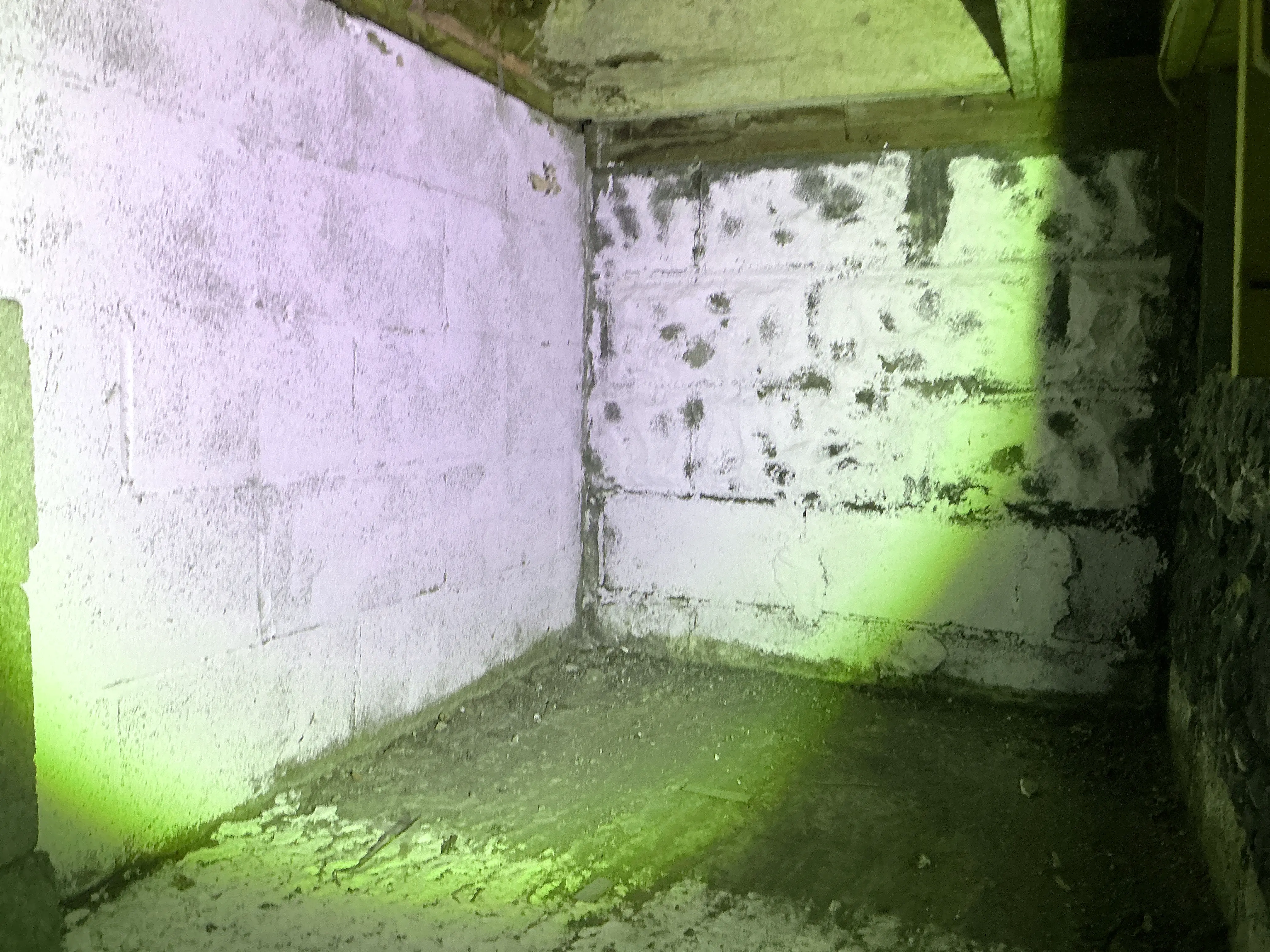 Basement concrete block foundation wall with peeling paint and efflorescence 2026-07-16