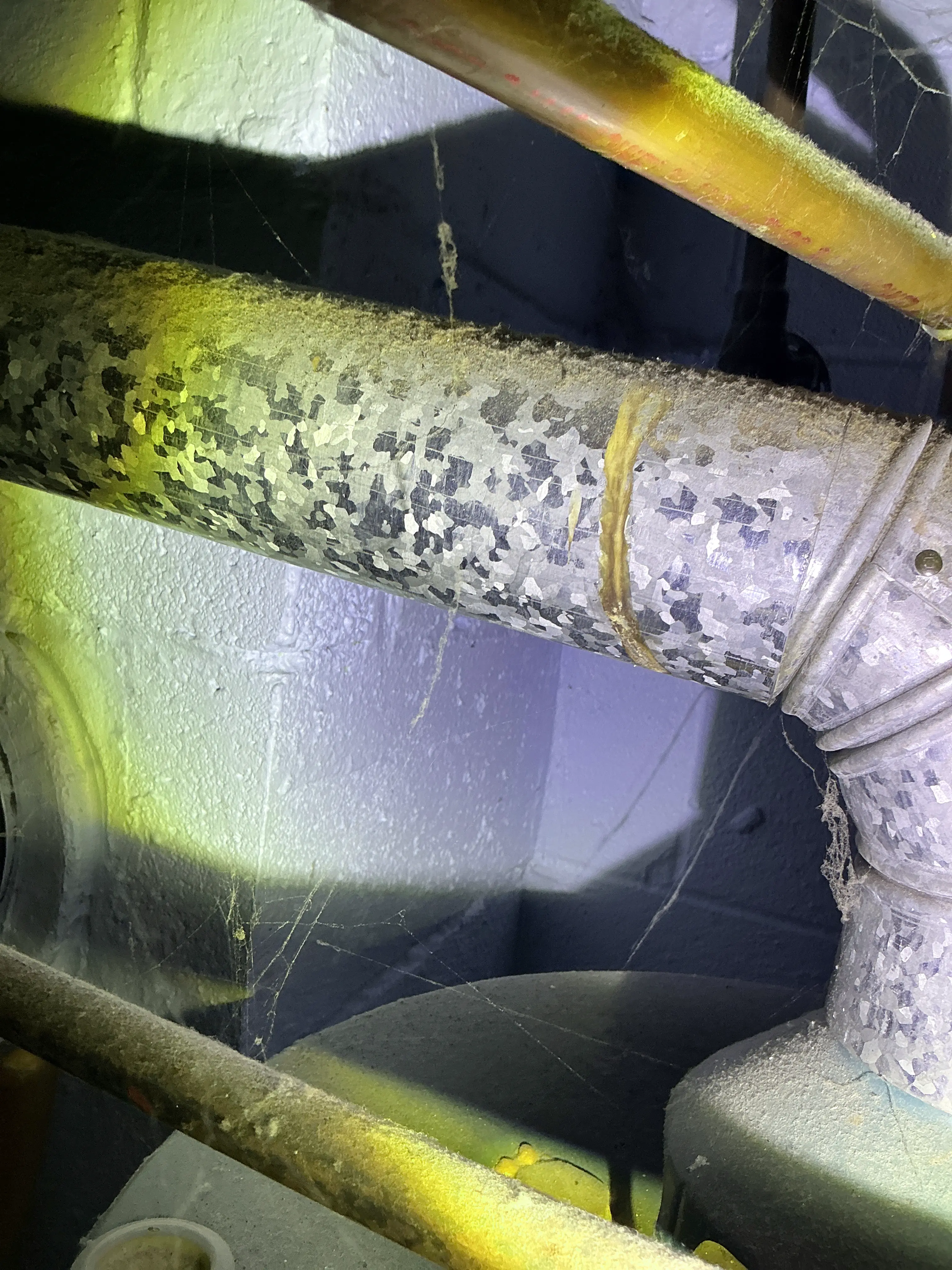 Galvanized metal furnace flue pipe with cobwebs and minor corrosion inspected in a utility space 2026-08-23