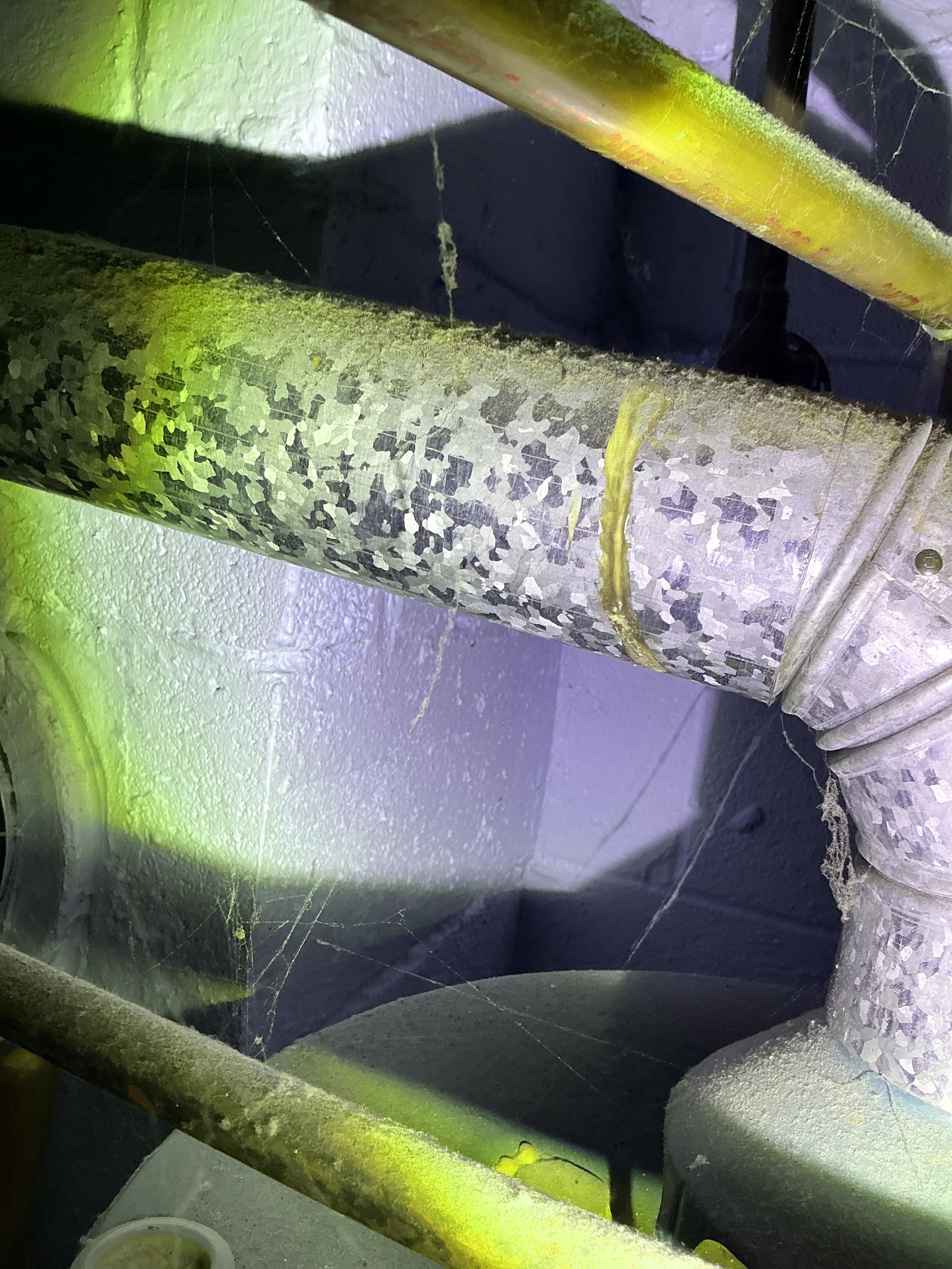 Galvanized metal furnace flue pipe with cobwebs and minor corrosion inspected in a utility space 2026-08-06