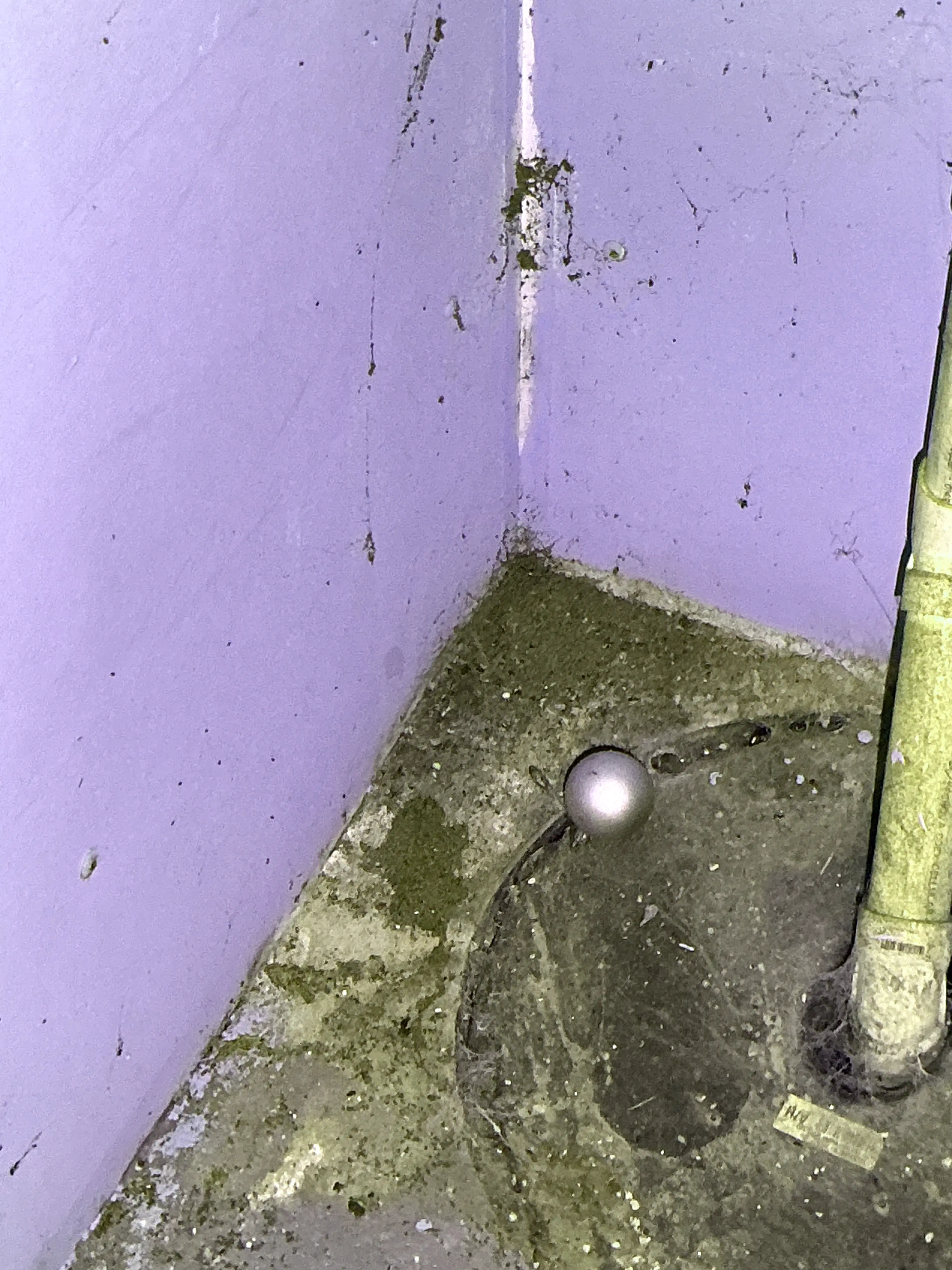 Dirty basement floor corner with sump pump cover, debris, and PVC pipe 2026-08-15