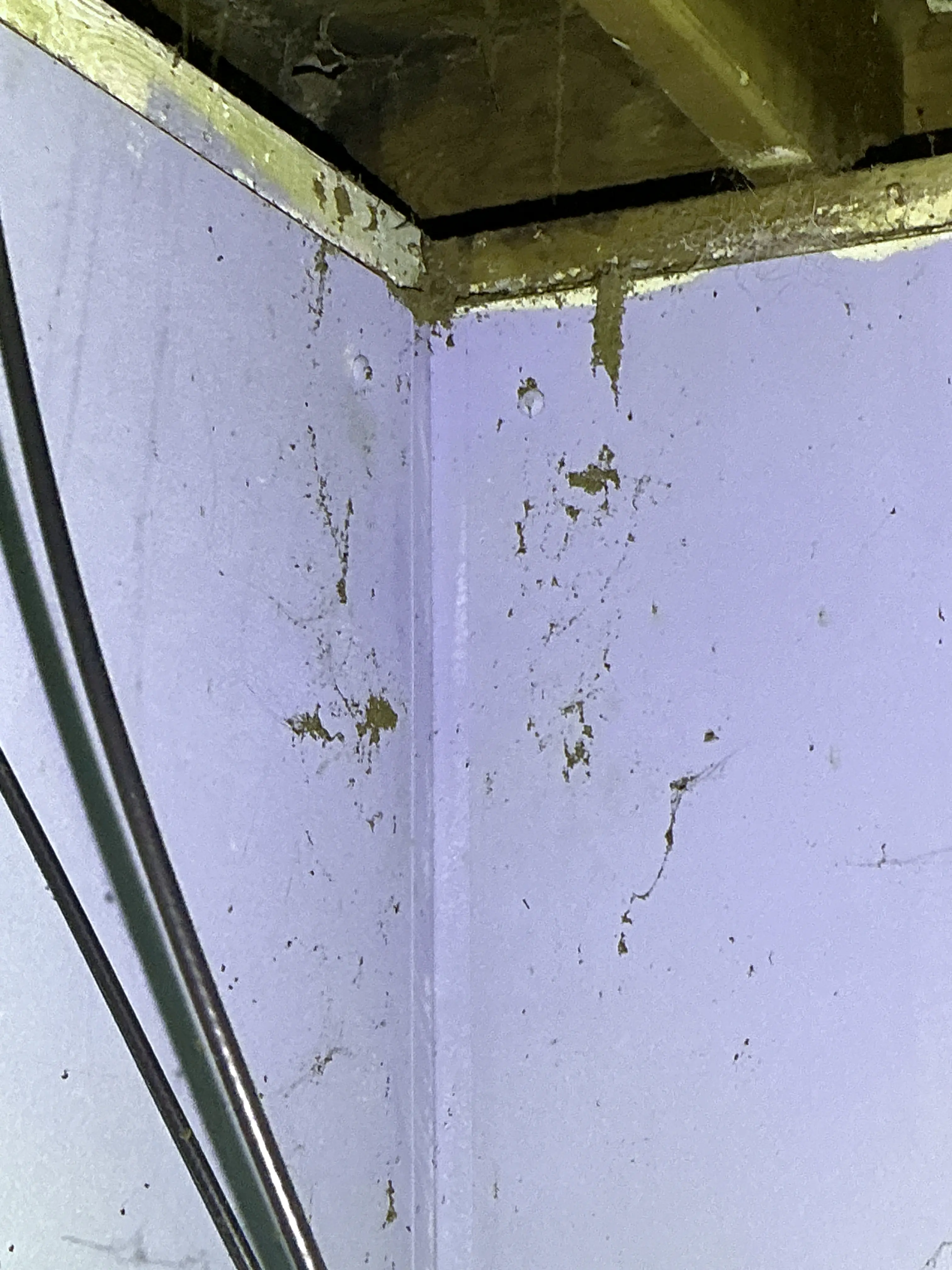 Termite mud tubes on wooden cabinet framing indicating wood-destroying insect activity 2026-08-27