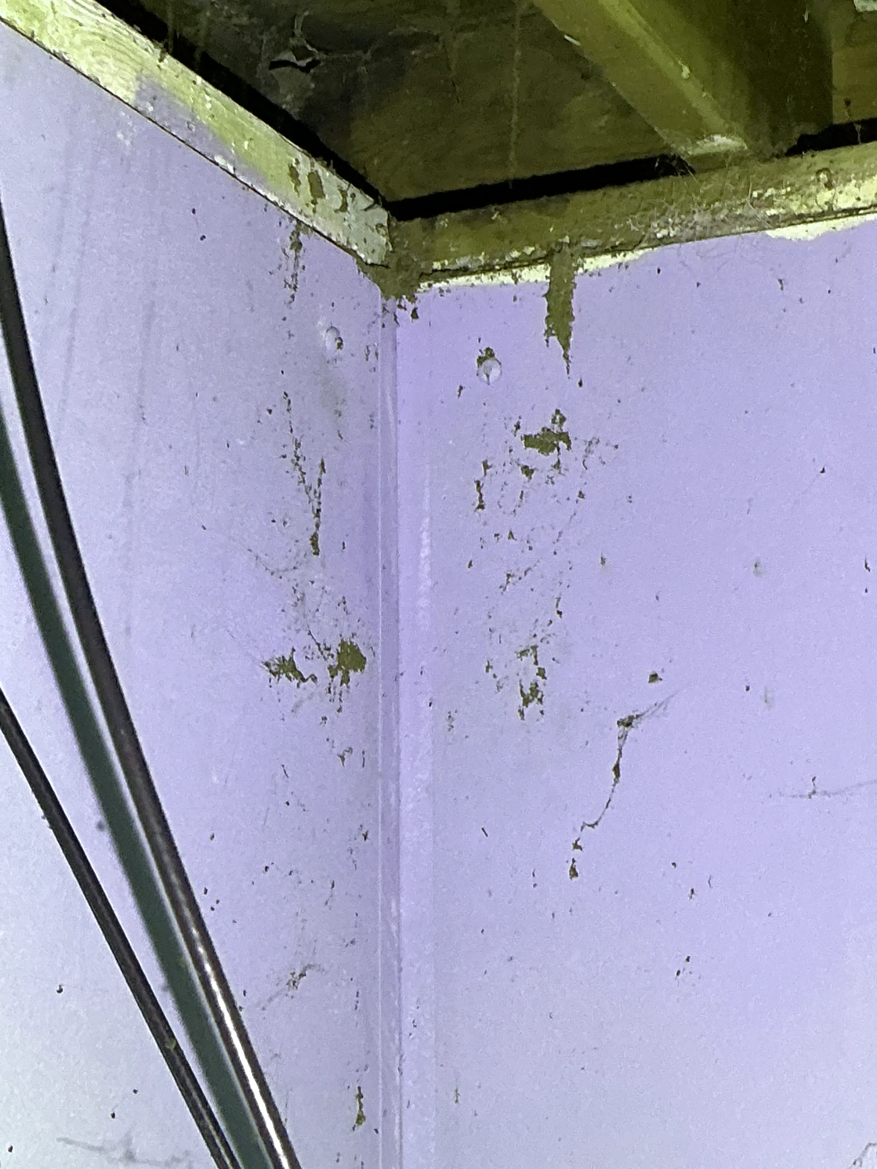 Termite mud tubes on wooden cabinet framing indicating wood-destroying insect activity 2026-08-12