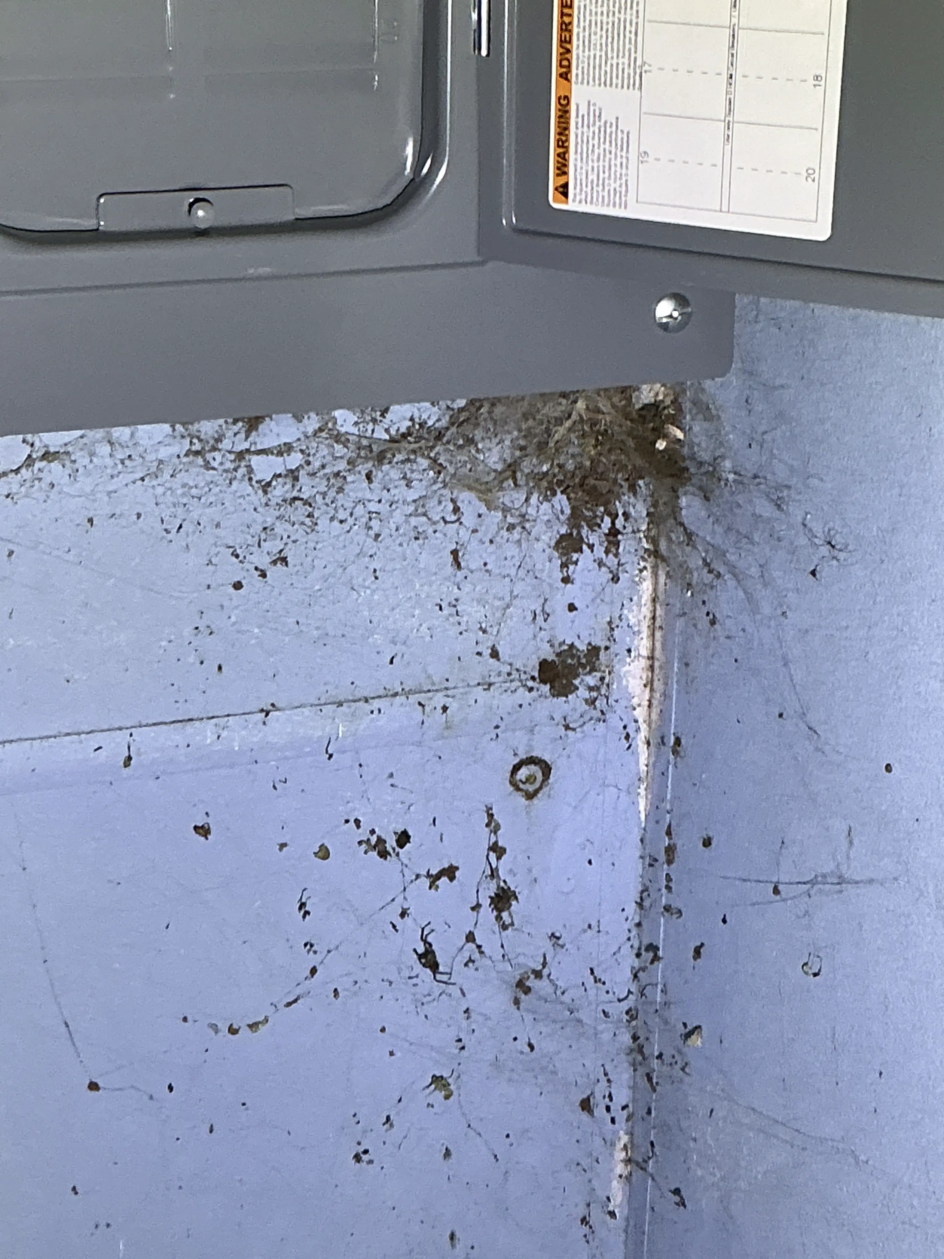 Accumulation of cobwebs, dust, and debris around an electrical breaker box corner 2026-07-06