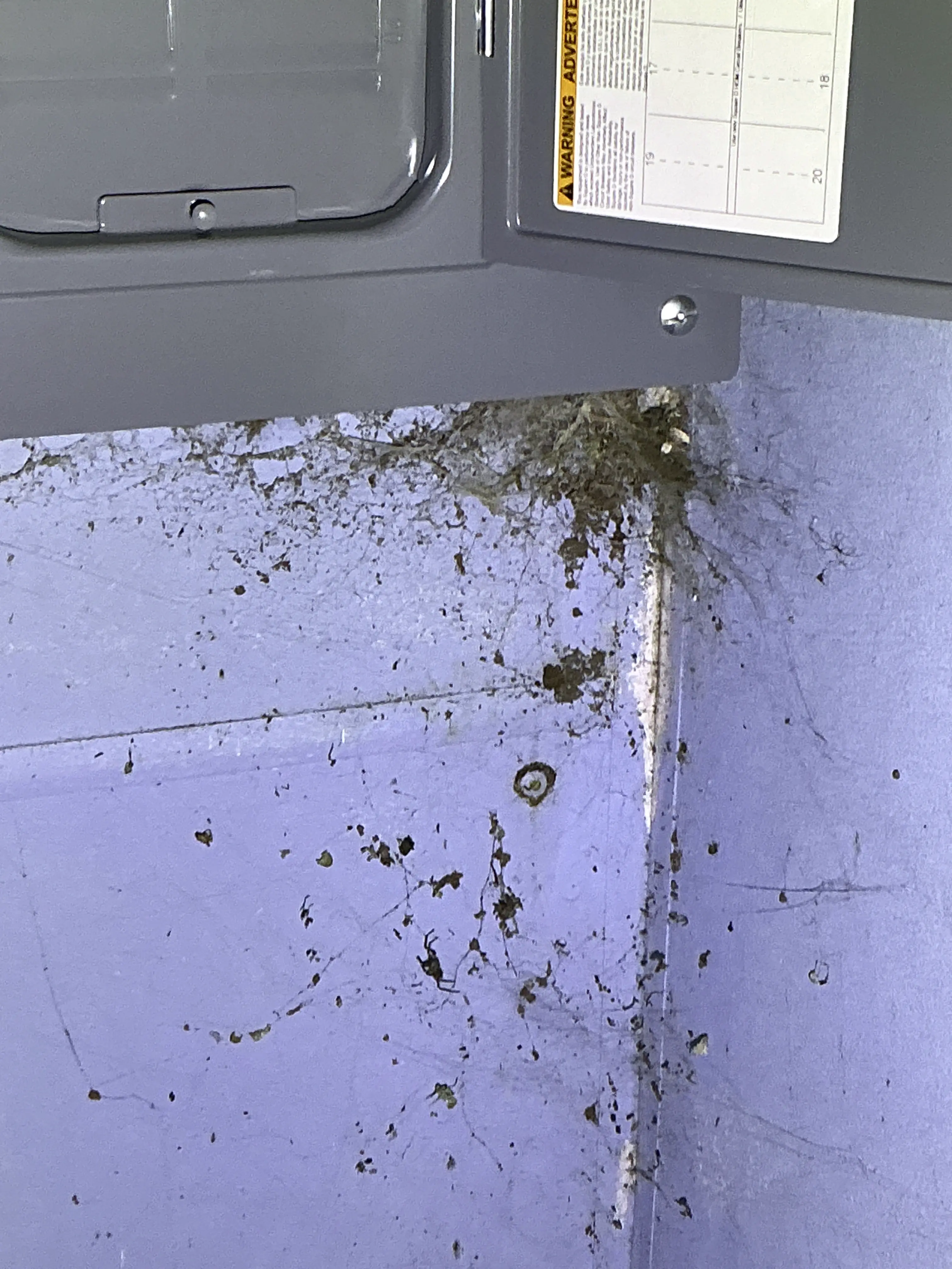 Accumulation of cobwebs, dust, and debris around an electrical breaker box corner 2026-07-07