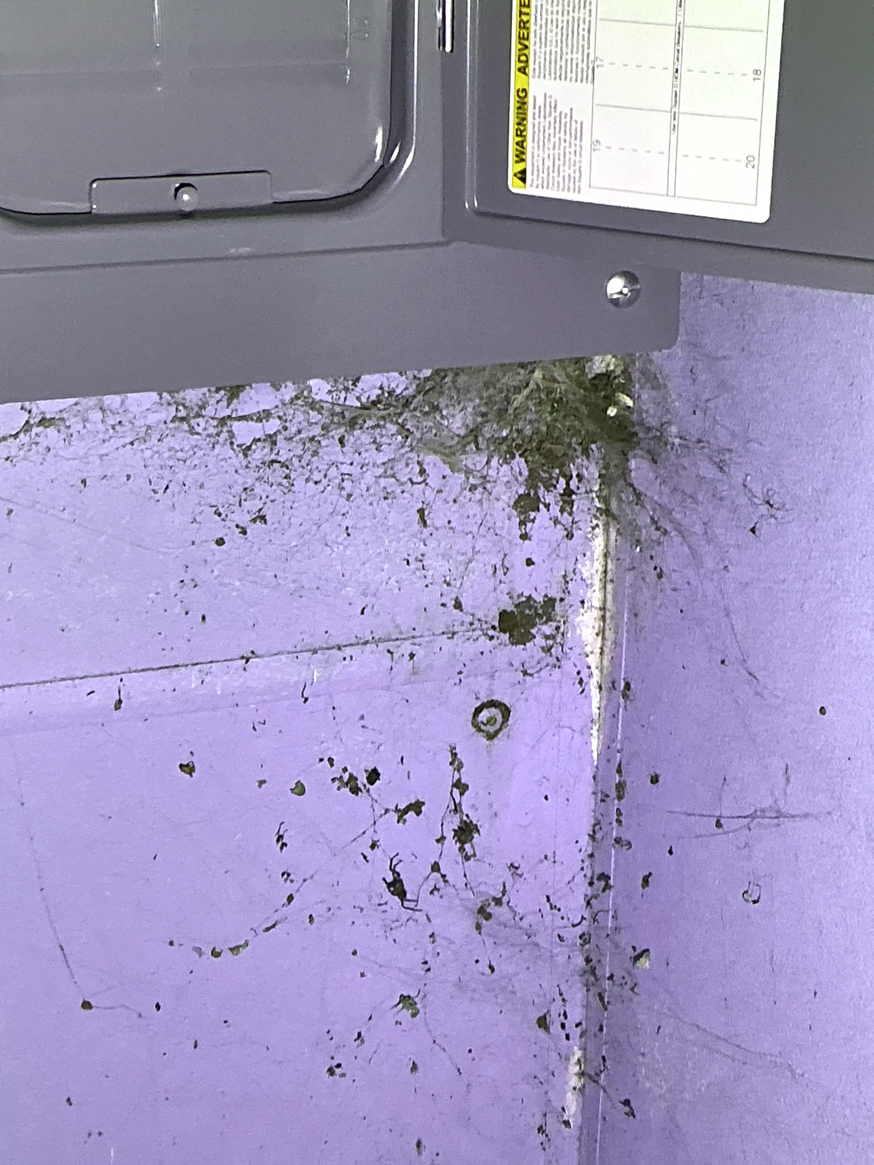 Accumulation of cobwebs, dust, and debris around an electrical breaker box corner 2026-08-17