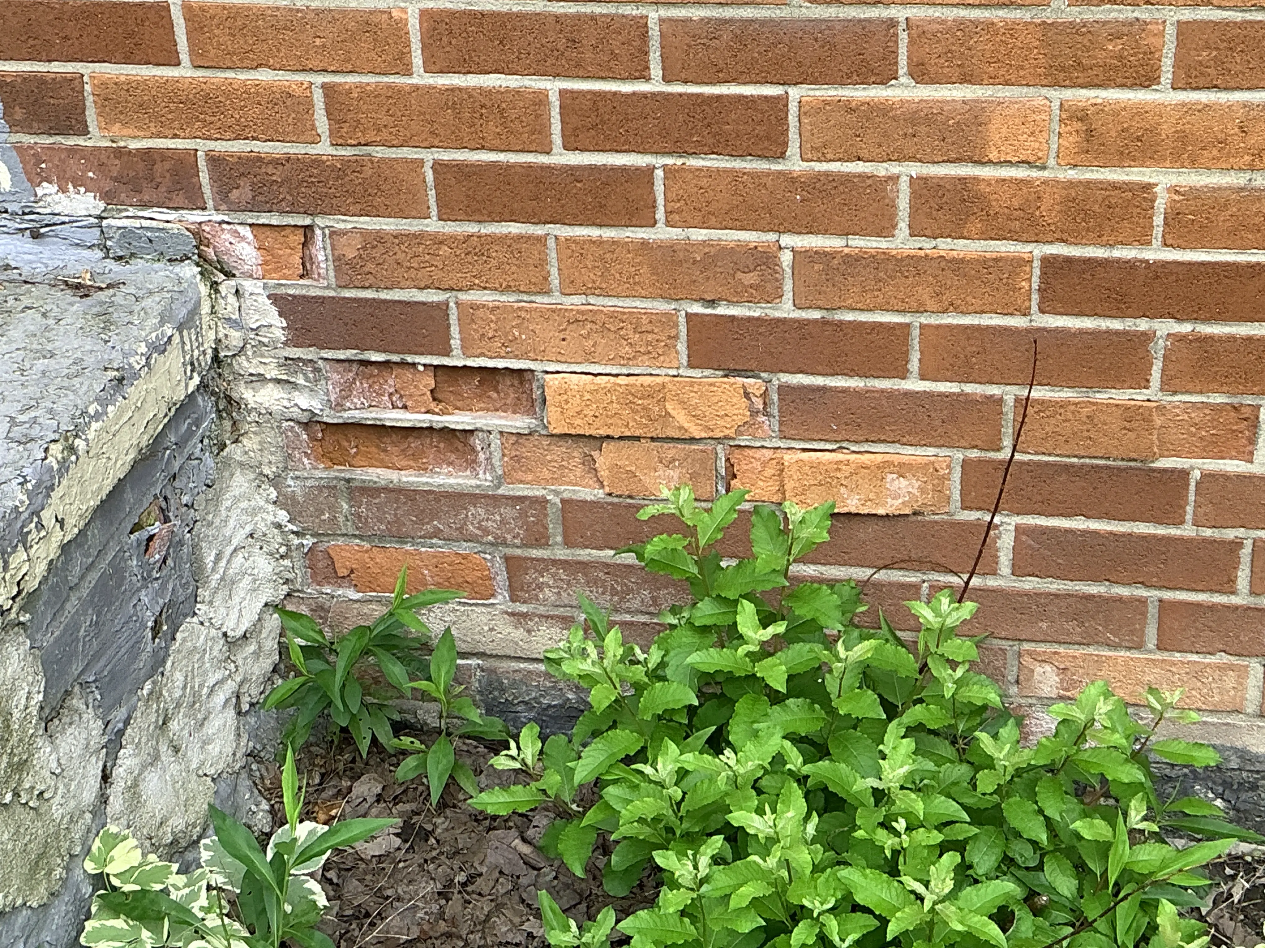 Damaged spalling exterior brick wall with crumbling faces needing masonry repair 2026-08-01