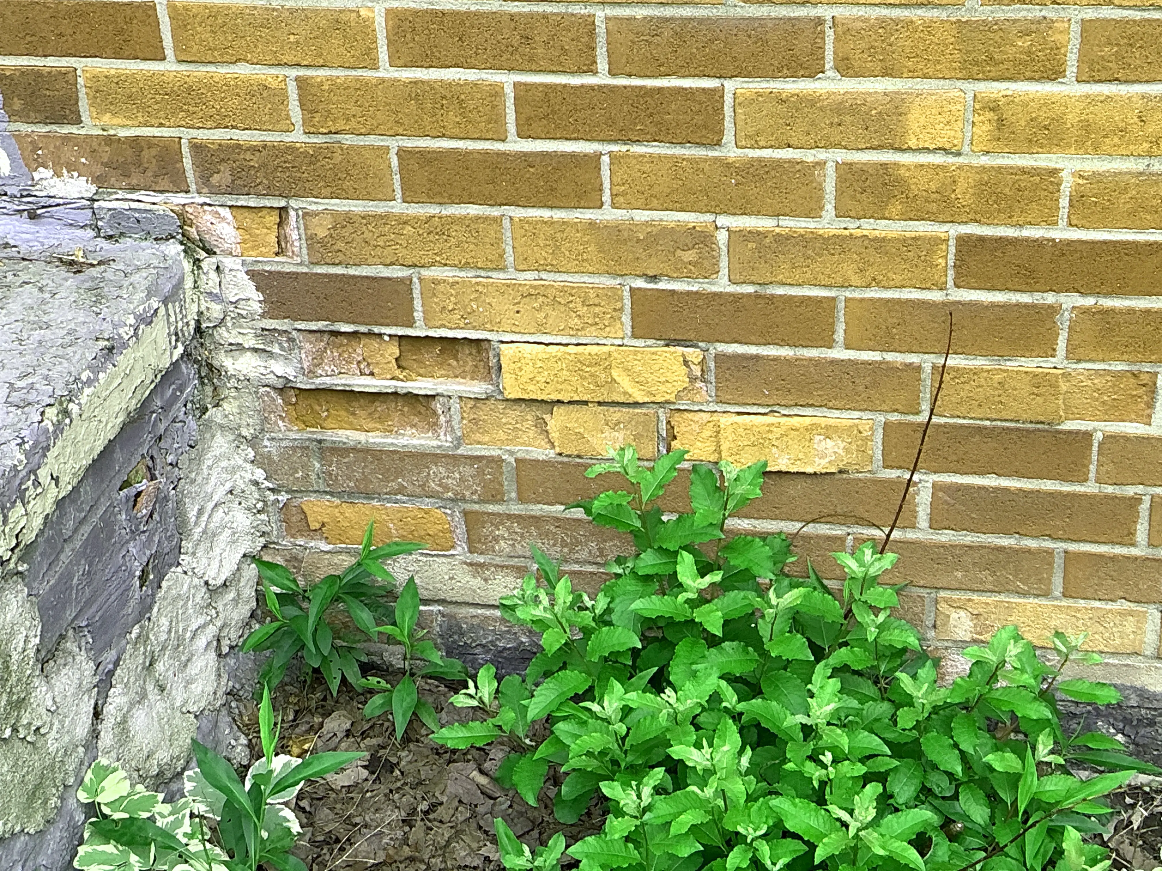 Damaged spalling exterior brick wall with crumbling faces needing masonry repair 2026-08-12