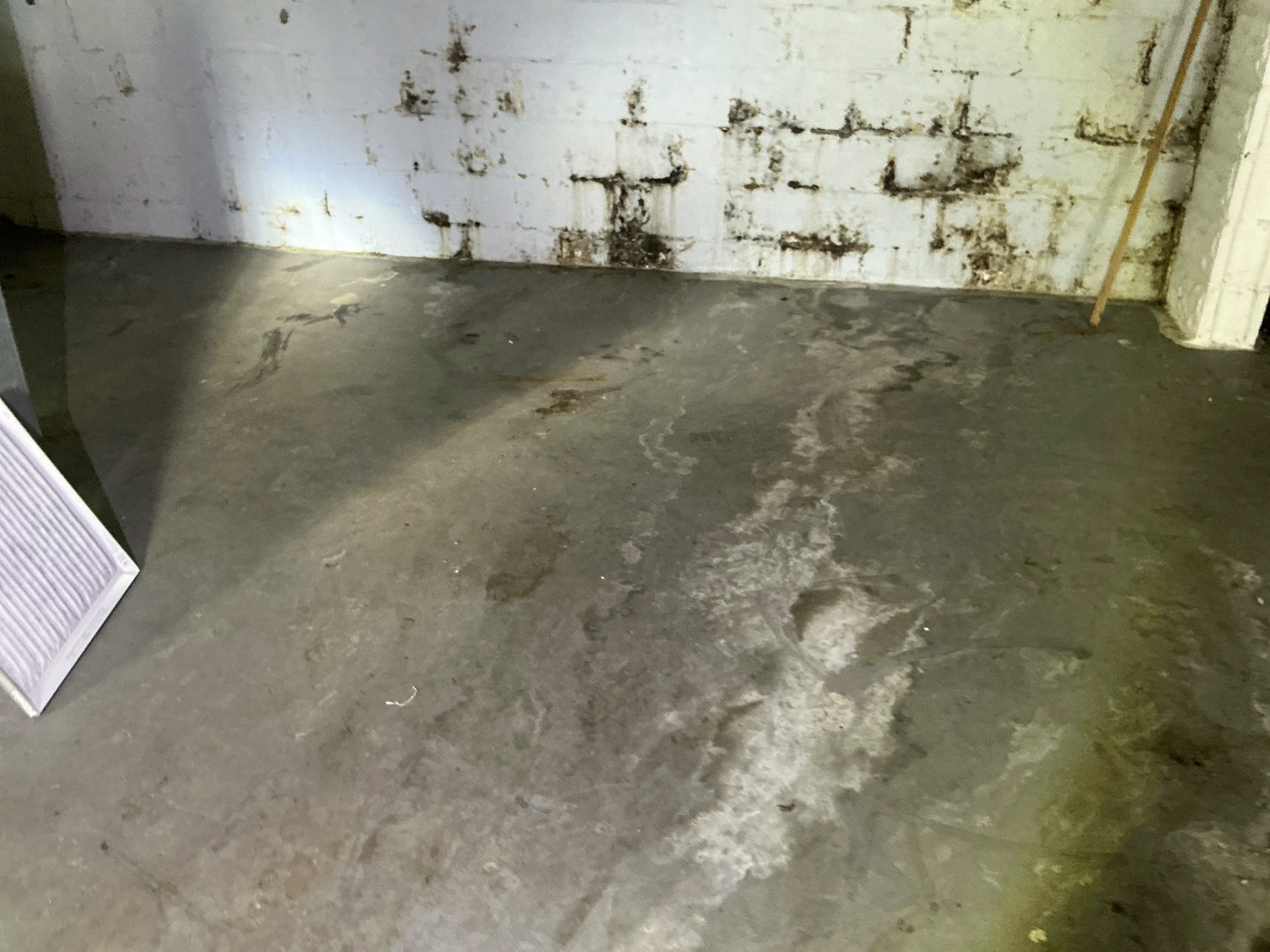 Water stains and efflorescence on basement foundation wall and concrete floor indicating moisture issues 2026-07-31