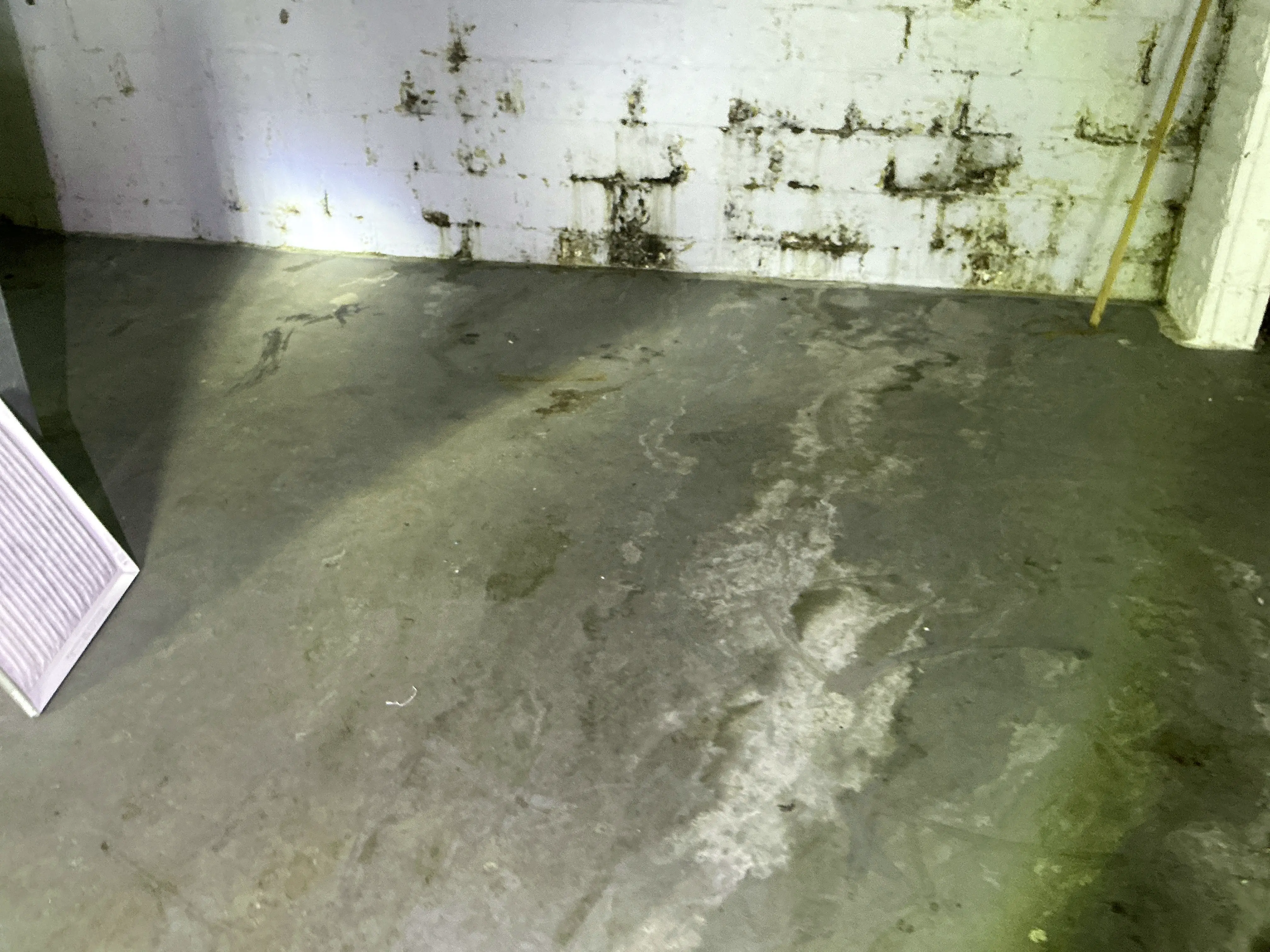 Water stains and efflorescence on basement foundation wall and concrete floor indicating moisture issues 2026-08-18