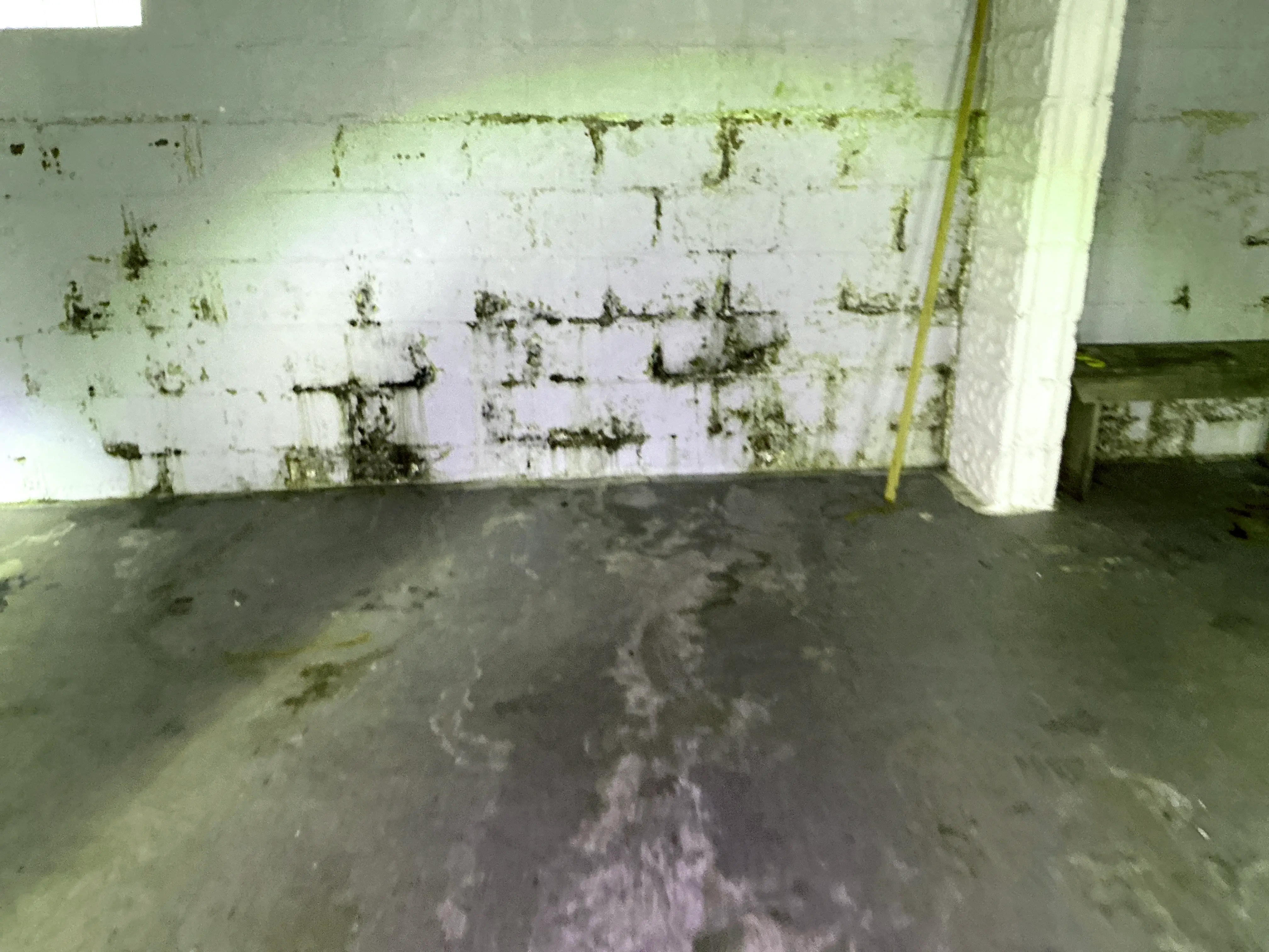 Moisture staining and potential mold on basement cinder block foundation wall 2026-07-19