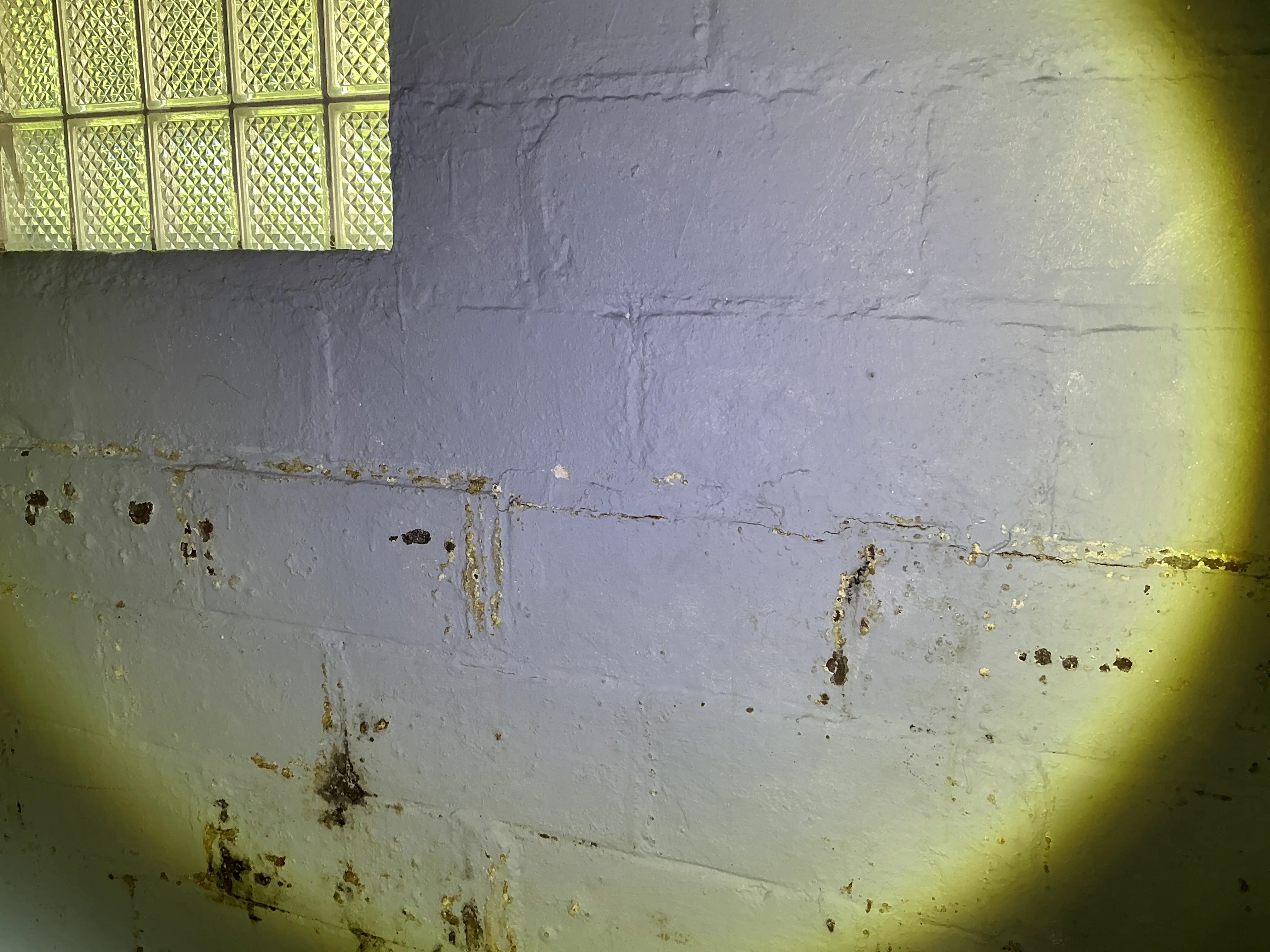 Efflorescence and horizontal crack on a painted concrete block basement wall 2026-07-26