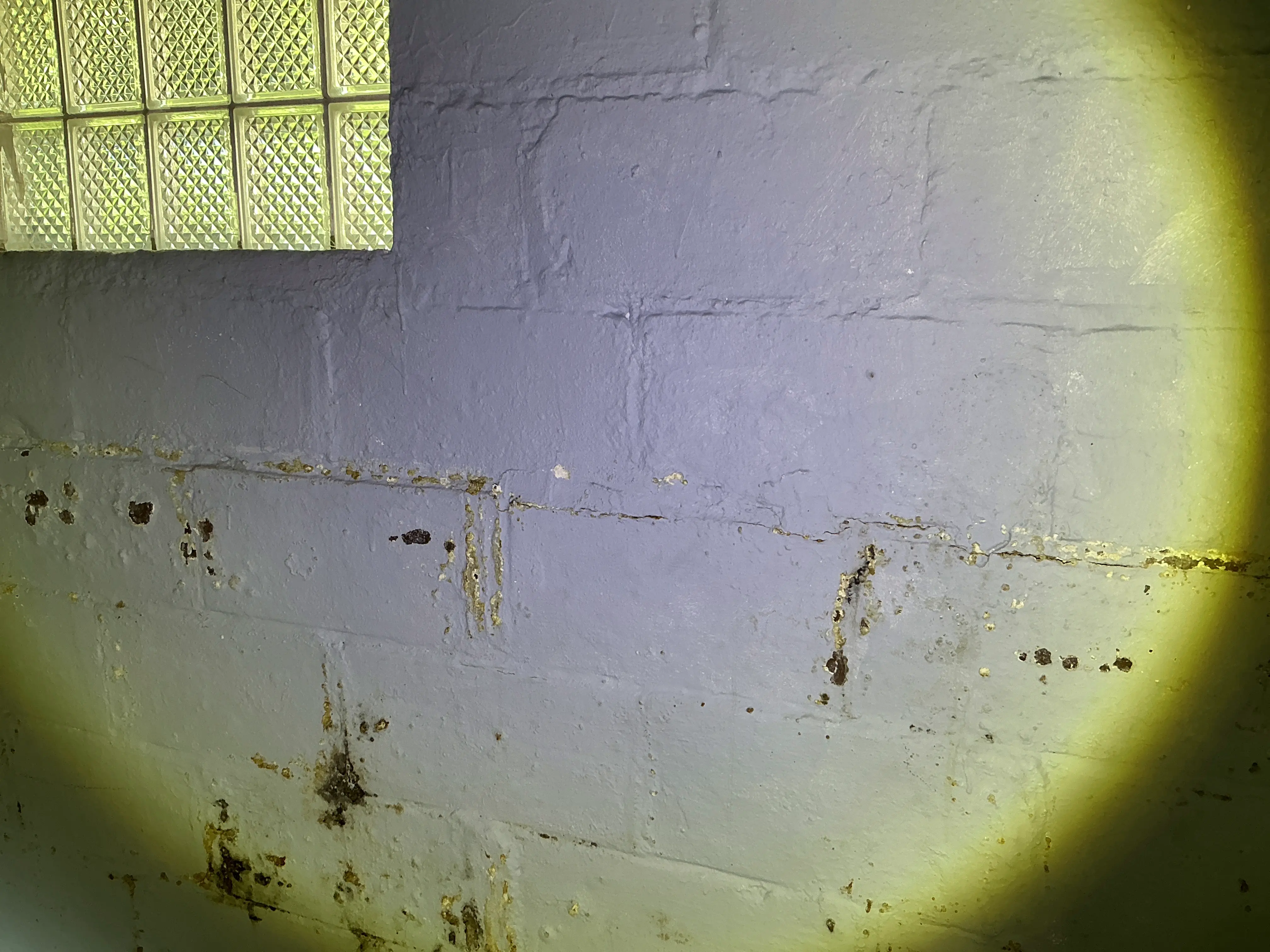 Efflorescence and horizontal crack on a painted concrete block basement wall 2026-08-03