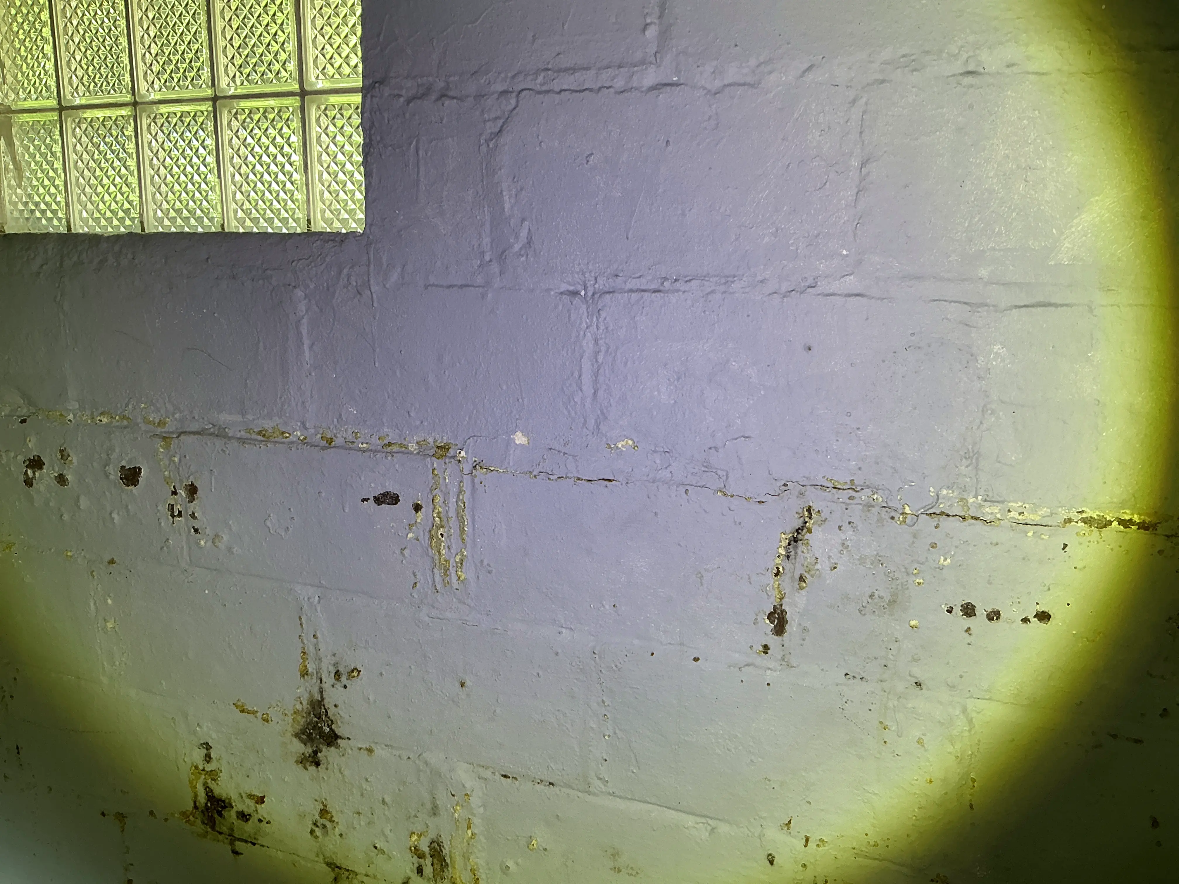 Efflorescence and horizontal crack on a painted concrete block basement wall 2026-08-17