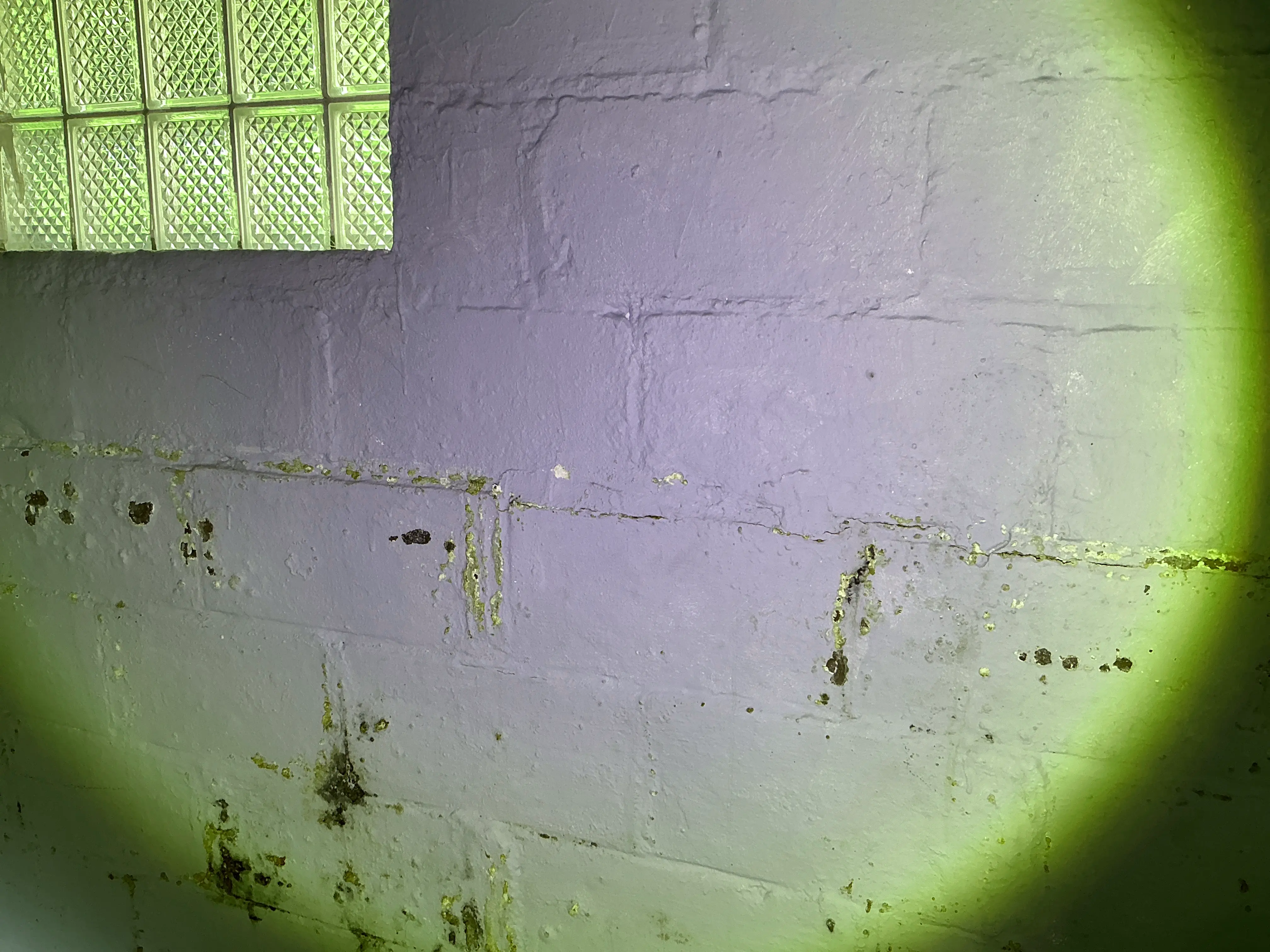 Efflorescence and horizontal crack on a painted concrete block basement wall 2026-09-01