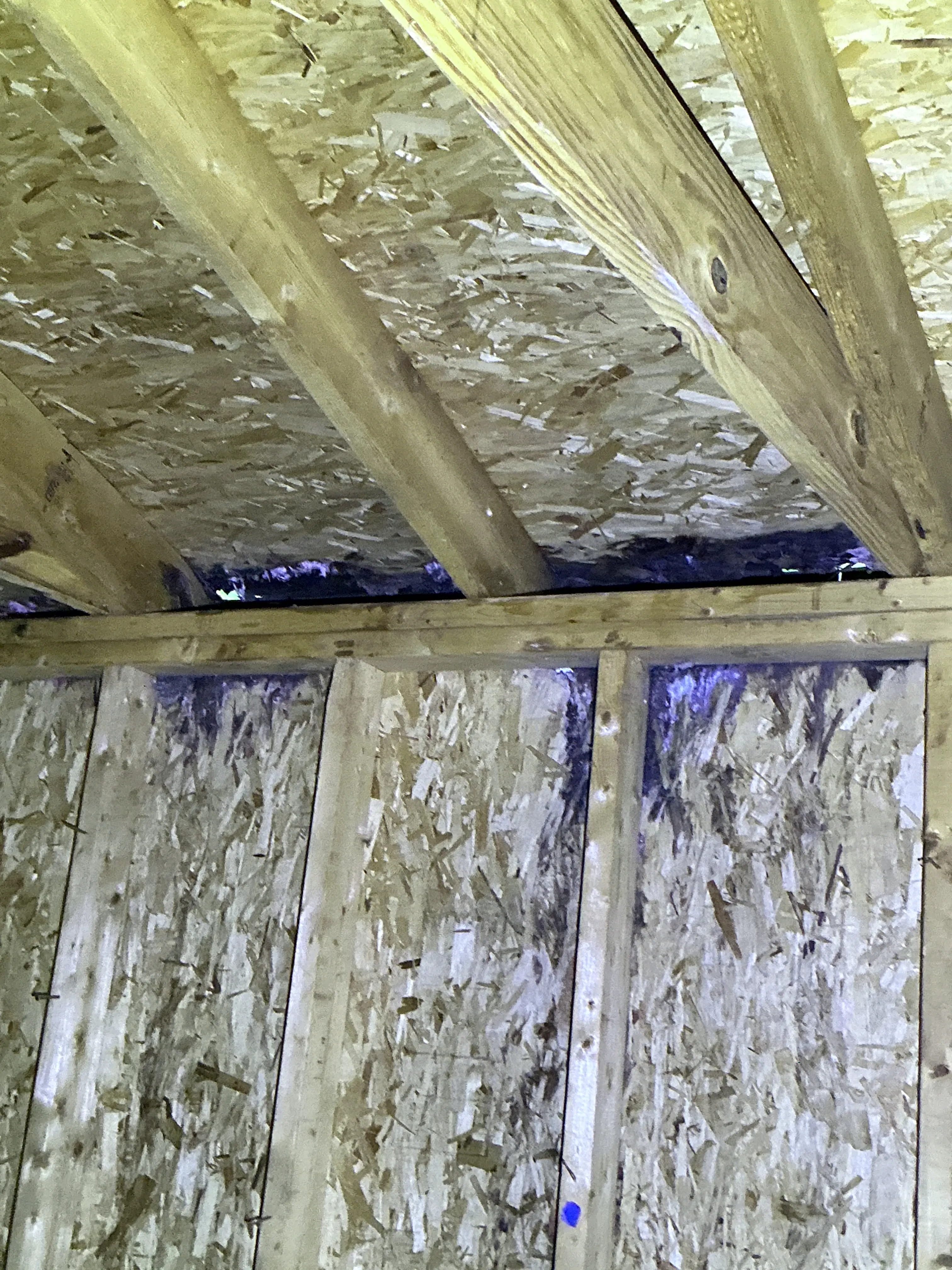Gap in attic OSB roof sheathing allowing daylight and moisture damage 2026-07-11
