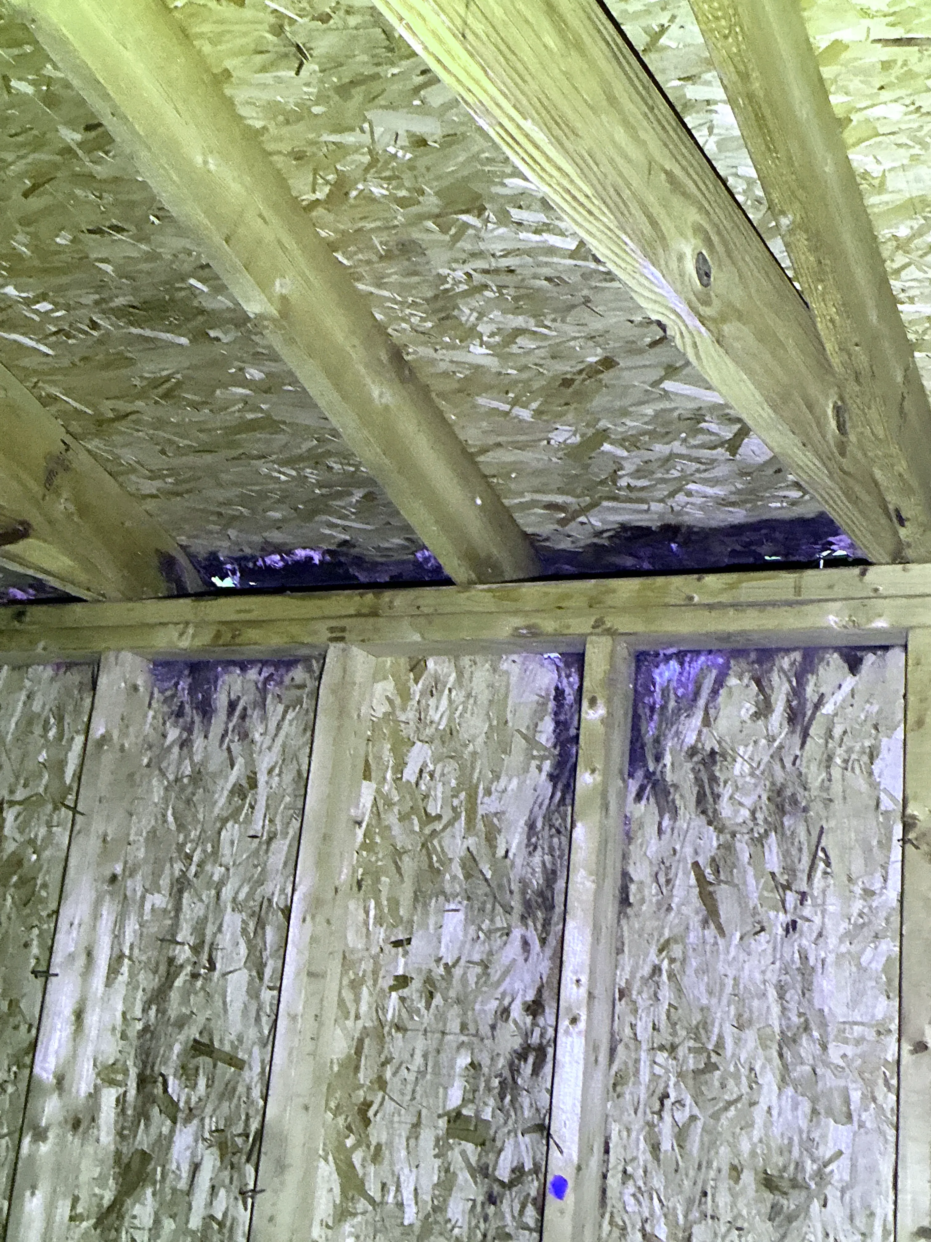 Gap in attic OSB roof sheathing allowing daylight and moisture damage 2026-07-19