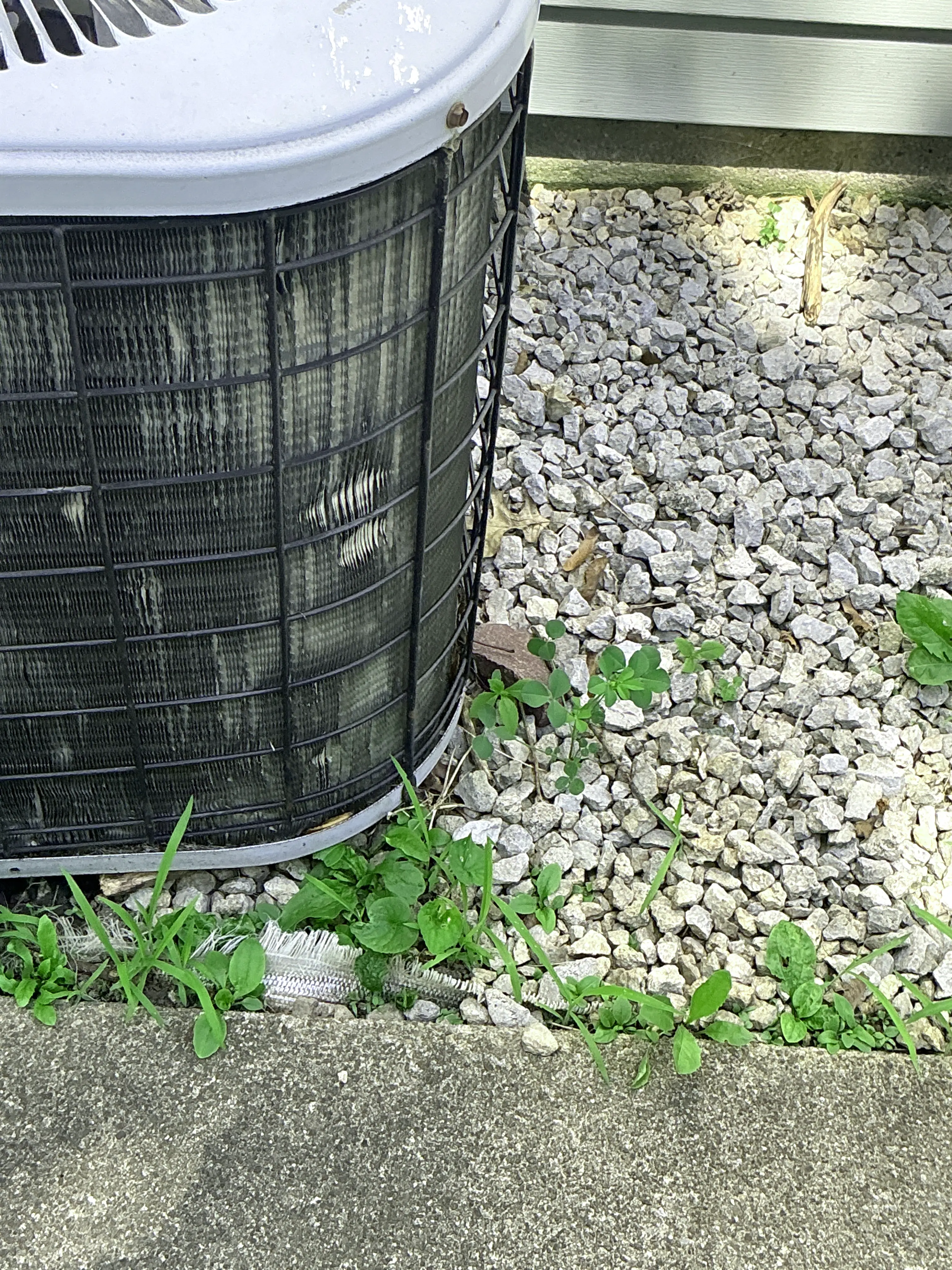 Overgrown weeds and damaged fins on an outdoor AC condenser unit. 2026-07-05