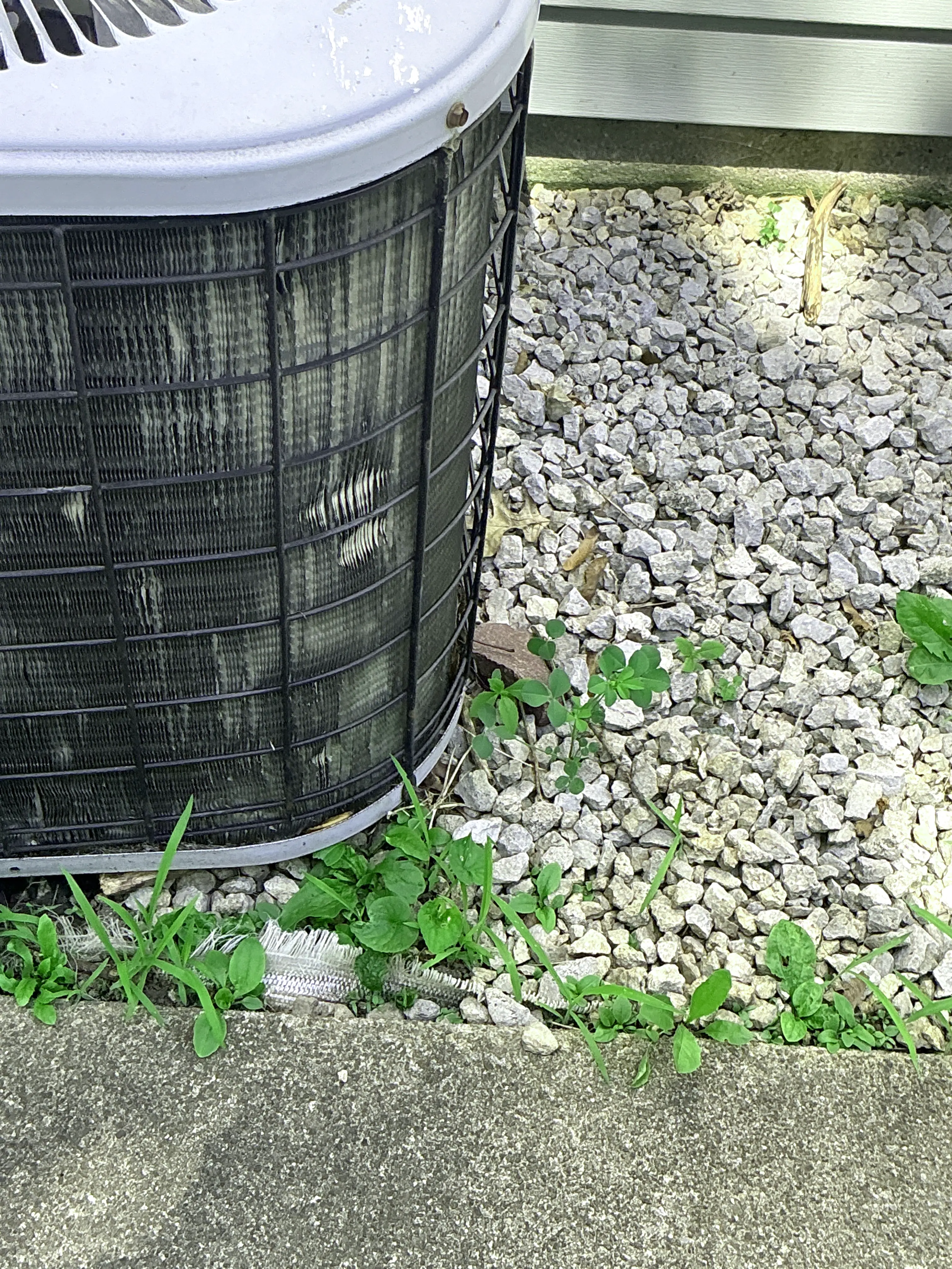 Overgrown weeds and damaged fins on an outdoor AC condenser unit. 2026-07-26