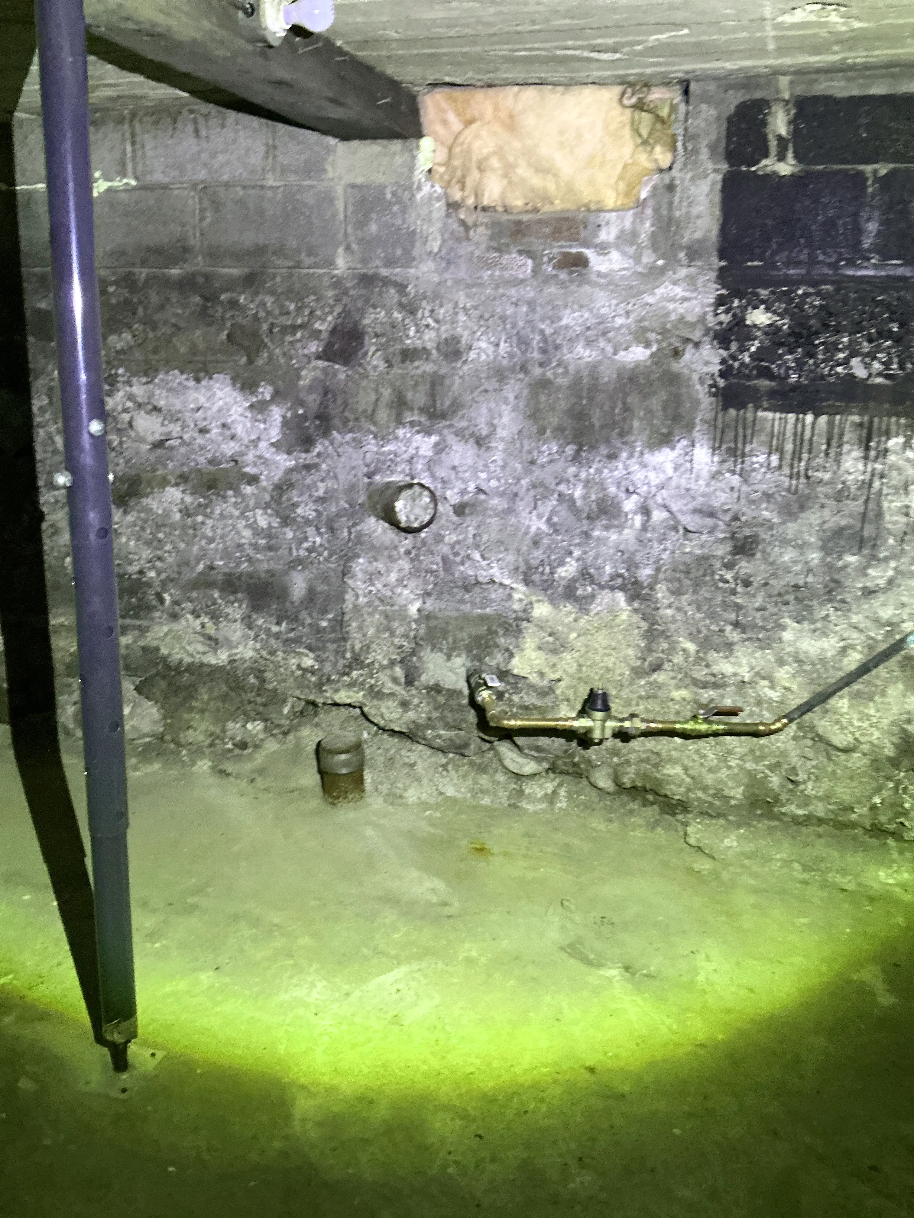 Efflorescence and moisture damage on basement foundation wall during home inspection 2026-07-11