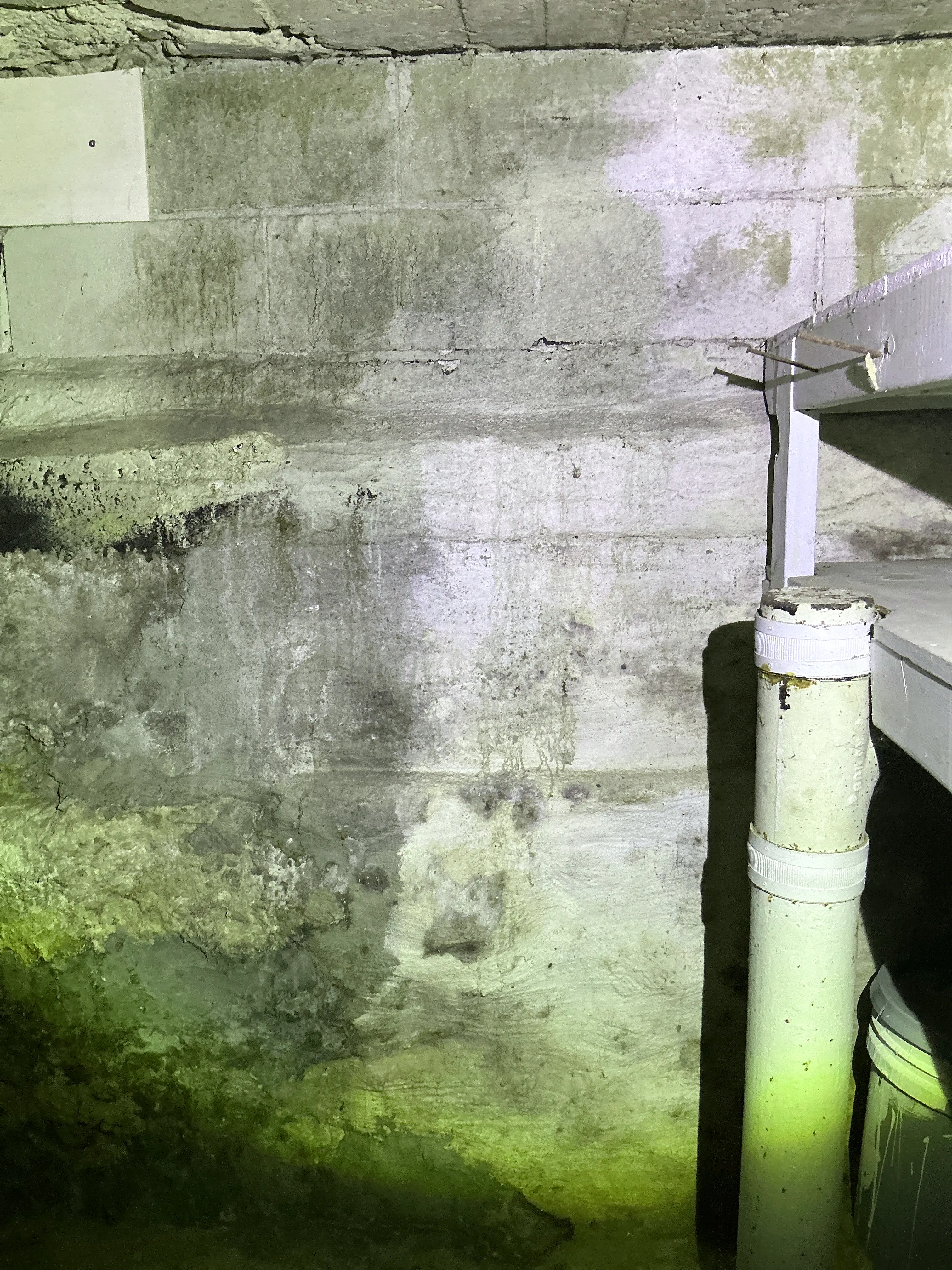 Concrete foundation wall showing water stains and efflorescence in a crawl space 2026-07-29