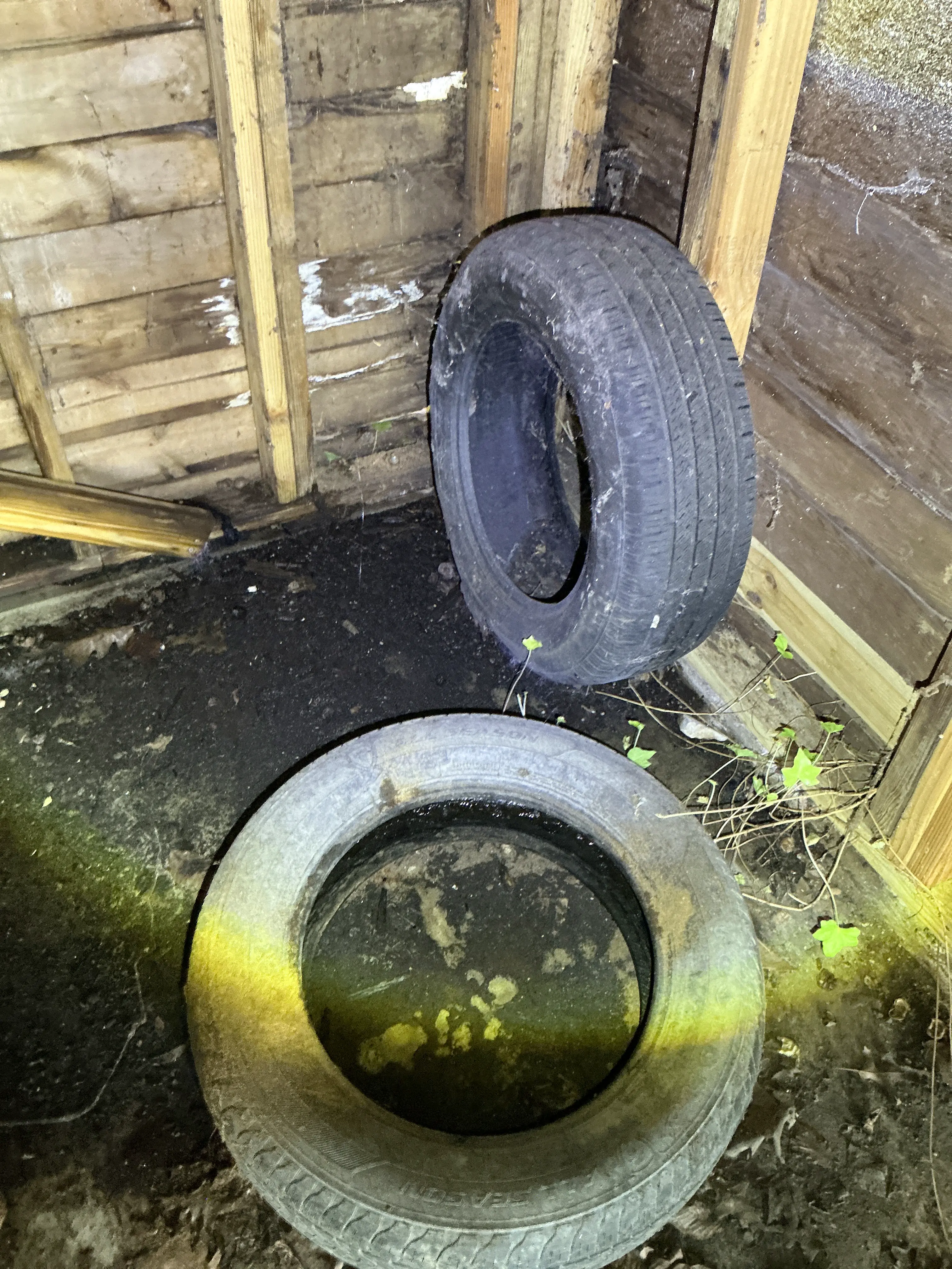 Abandoned car tires stored in a dirty crawlspace 2026-07-25