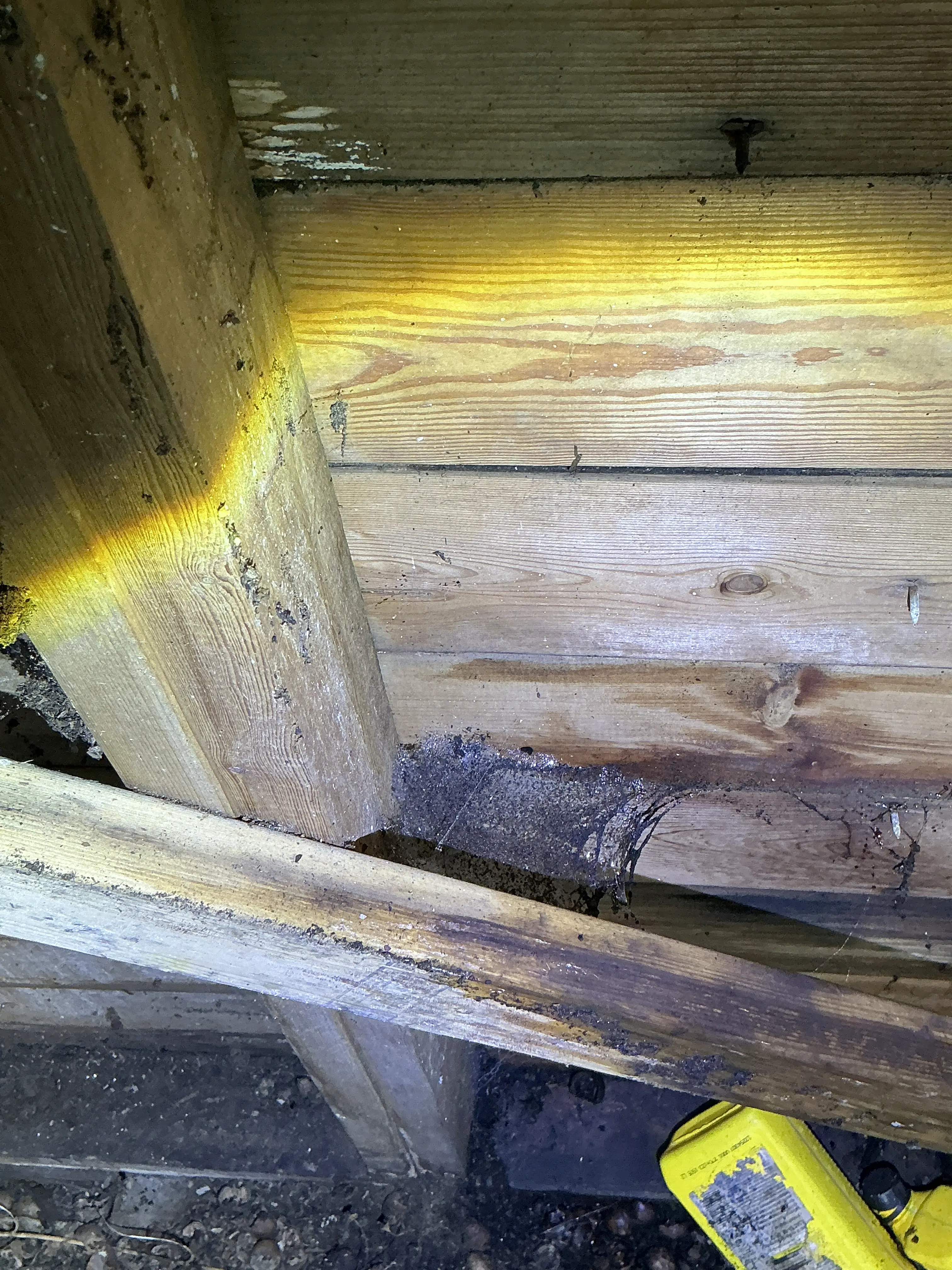 Attic framing inspection showing dust, cobwebs, and debris on wooden joists 2026-08-03
