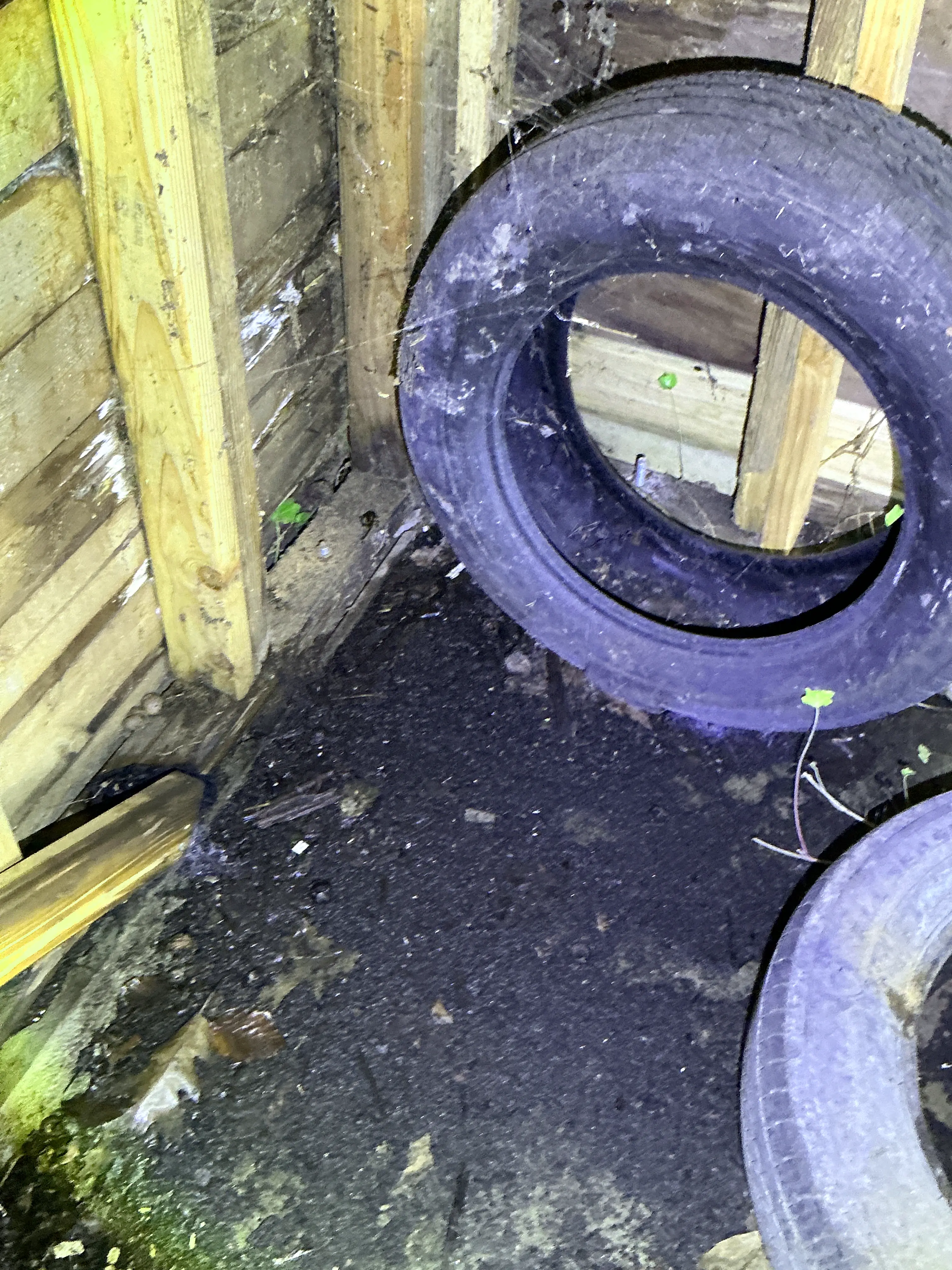 Discarded automotive tires stored near wooden floor joists and dirt ground during a lead inspection. 2026-08-26