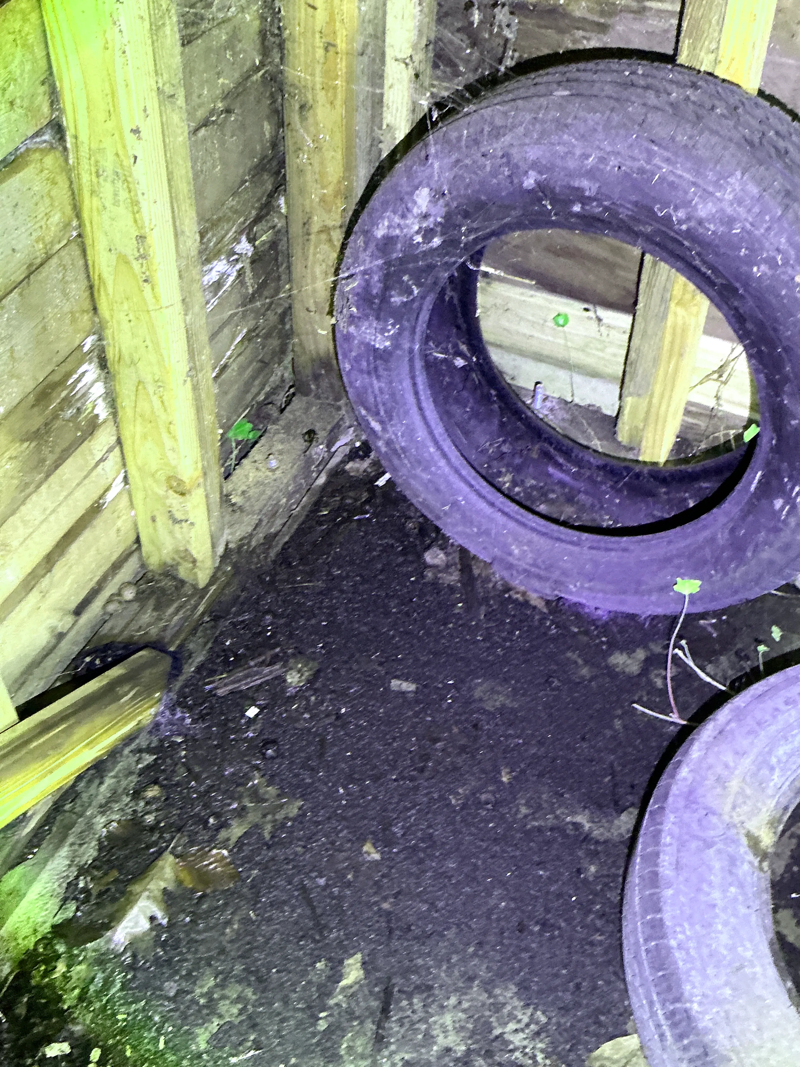 Discarded automotive tires stored near wooden floor joists and dirt ground during a general inspection. 2026-07-19