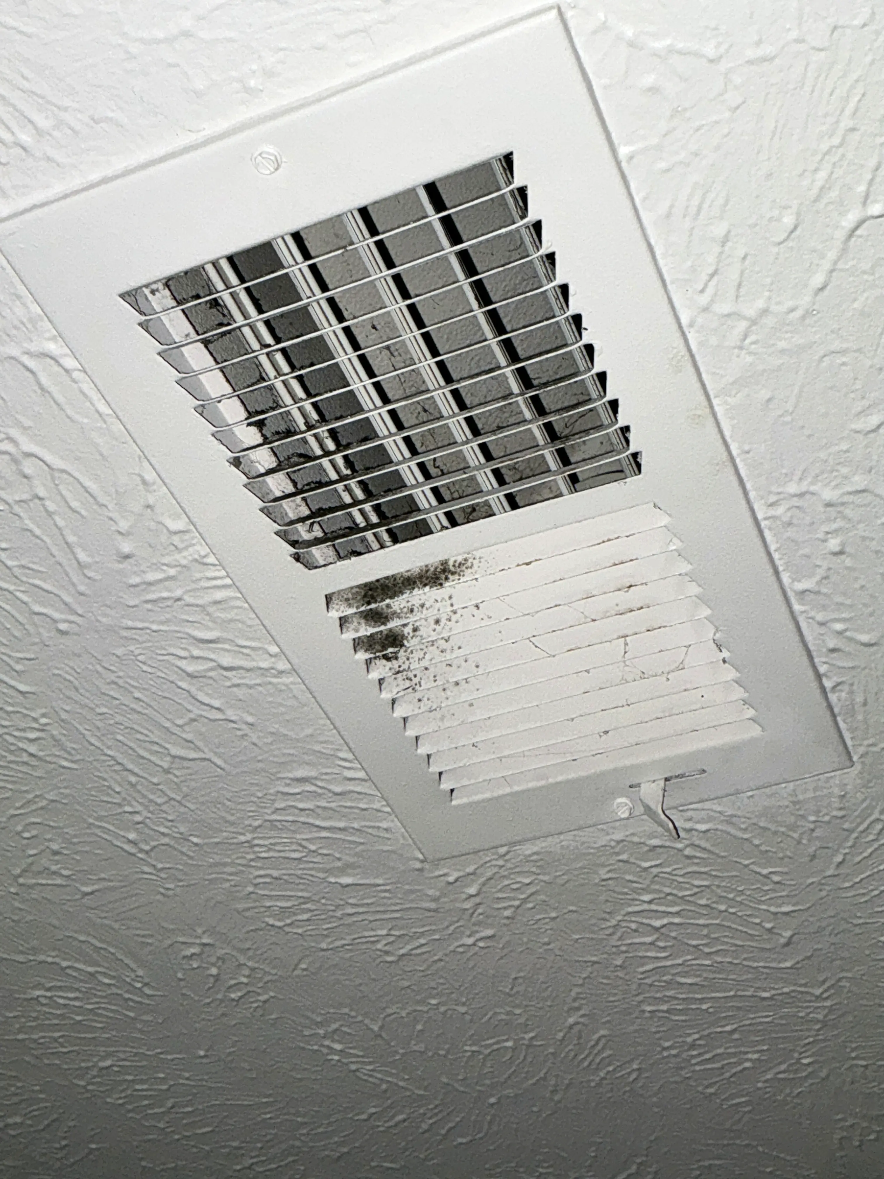 Mold and dust accumulation on a white wall air register cover 2026-09-01