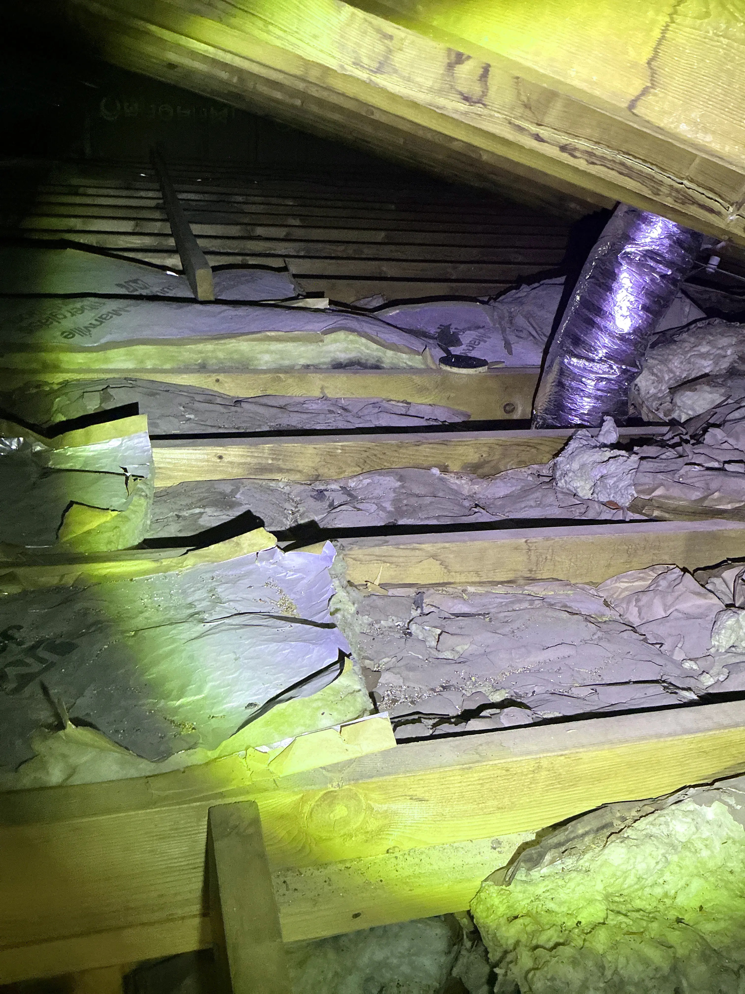 Damaged and missing fiberglass wall insulation inside an attic space during a mold testing 2026-08-03