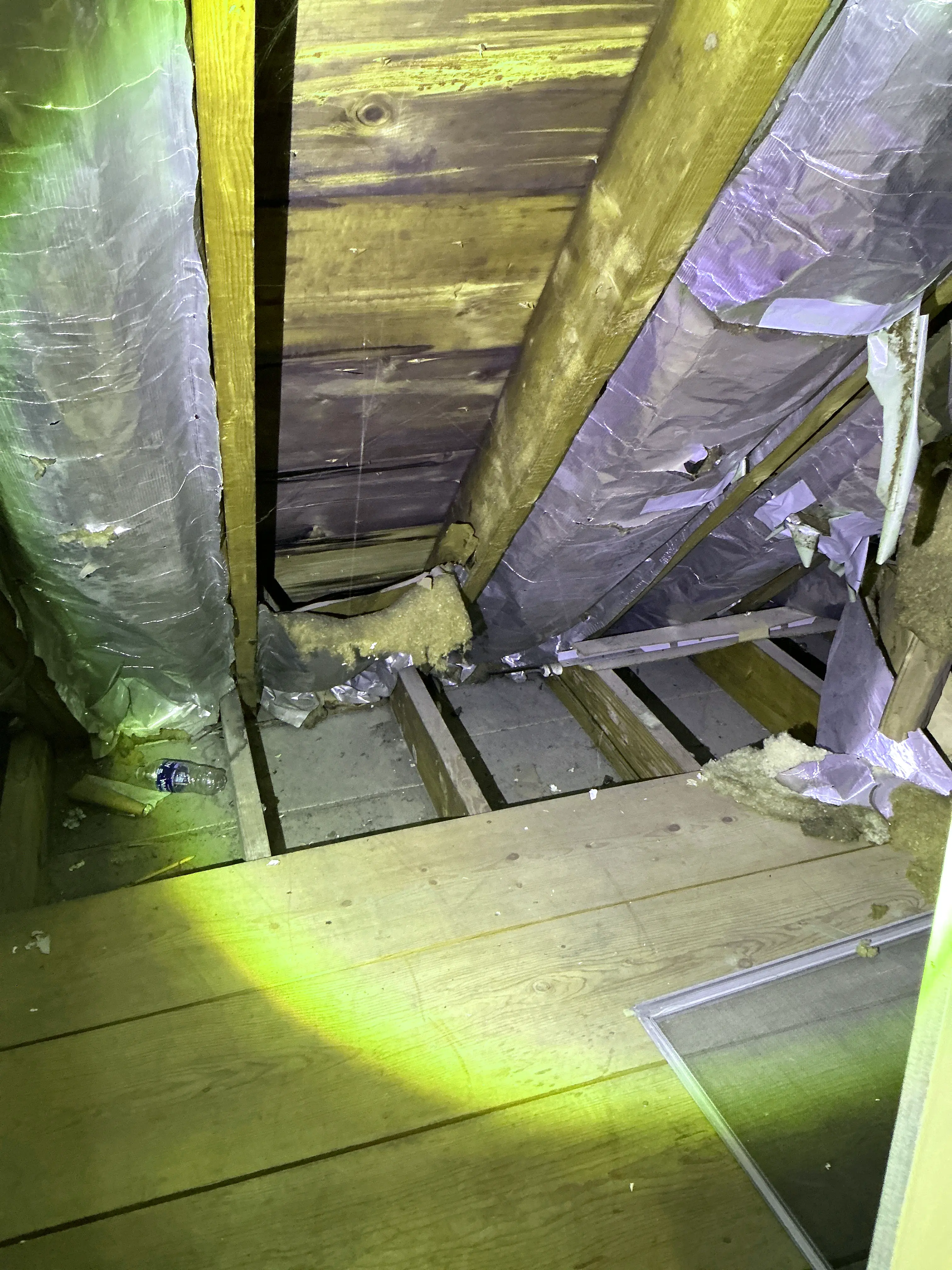 Exposed attic framing showing torn foil insulation and discarded trash 2026-07-14