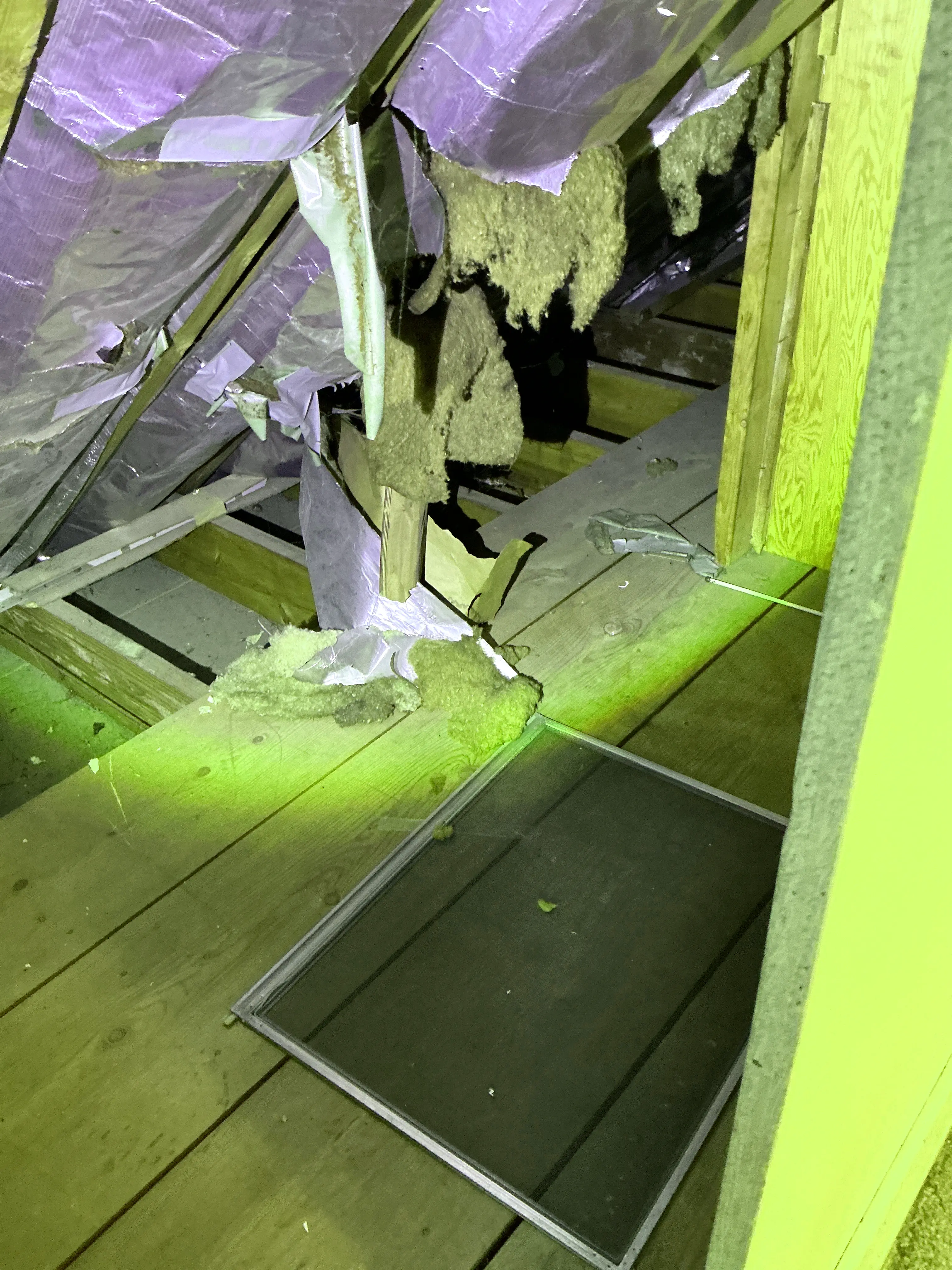 Torn insulation and loose vapor barrier in an attic space during a home inspection 2026-08-12