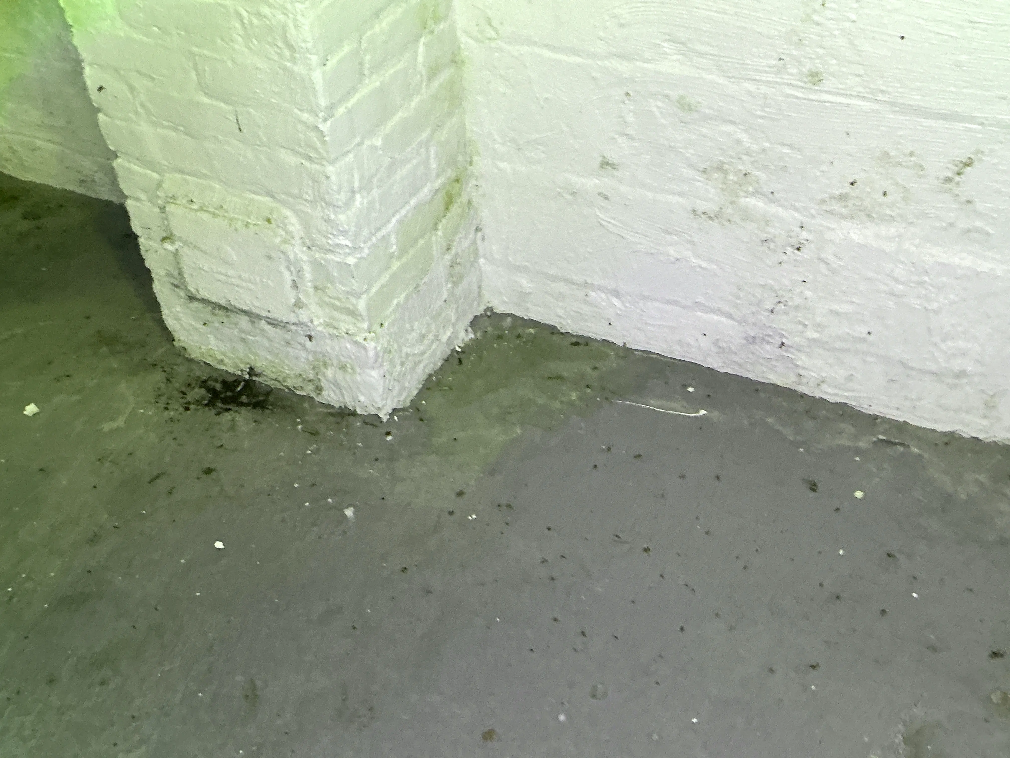 Moisture staining and dampness at the base of a basement brick wall 2026-07-16