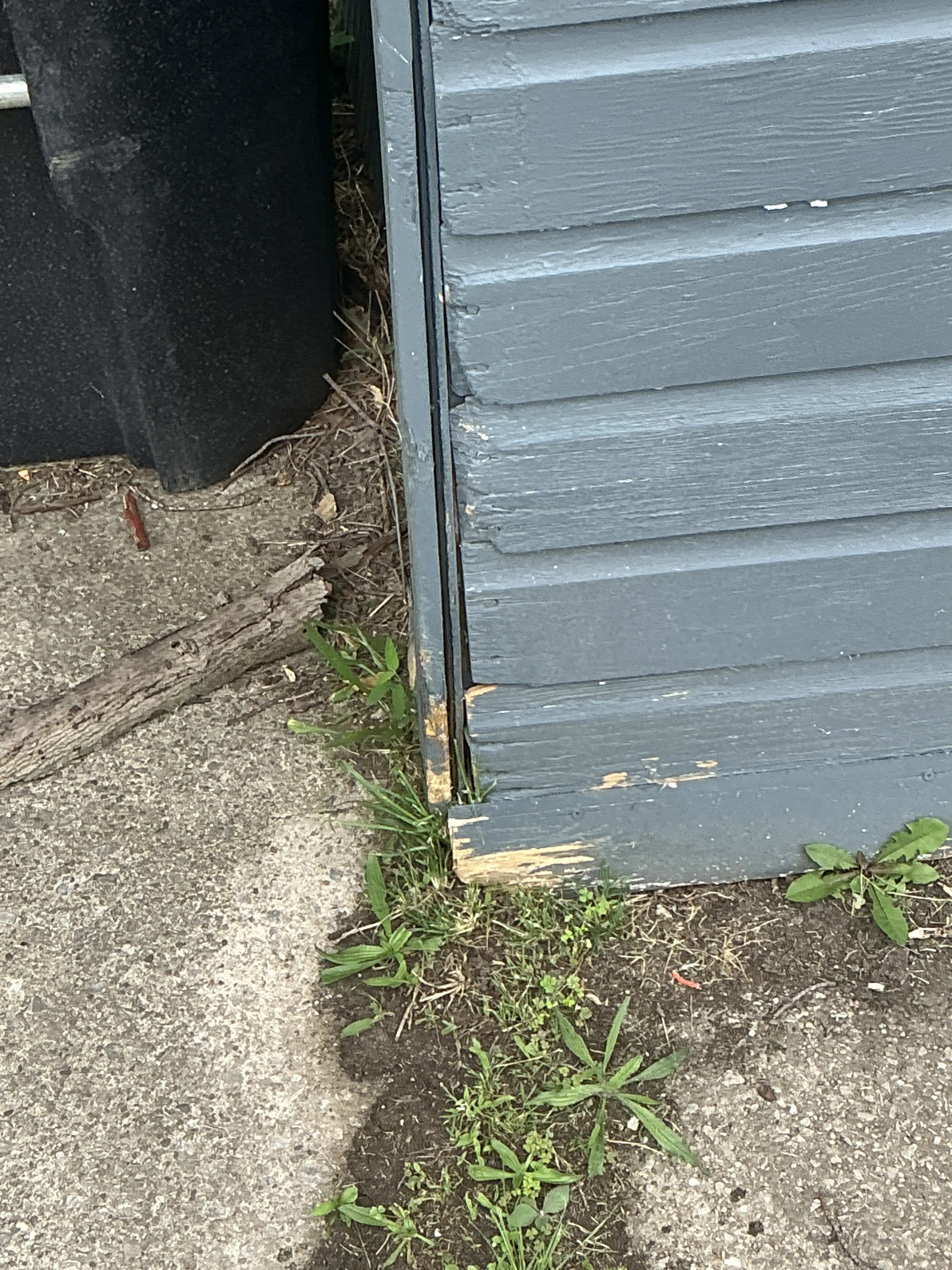 Wood siding rot and moisture damage home inspection finding 2026-07-28
