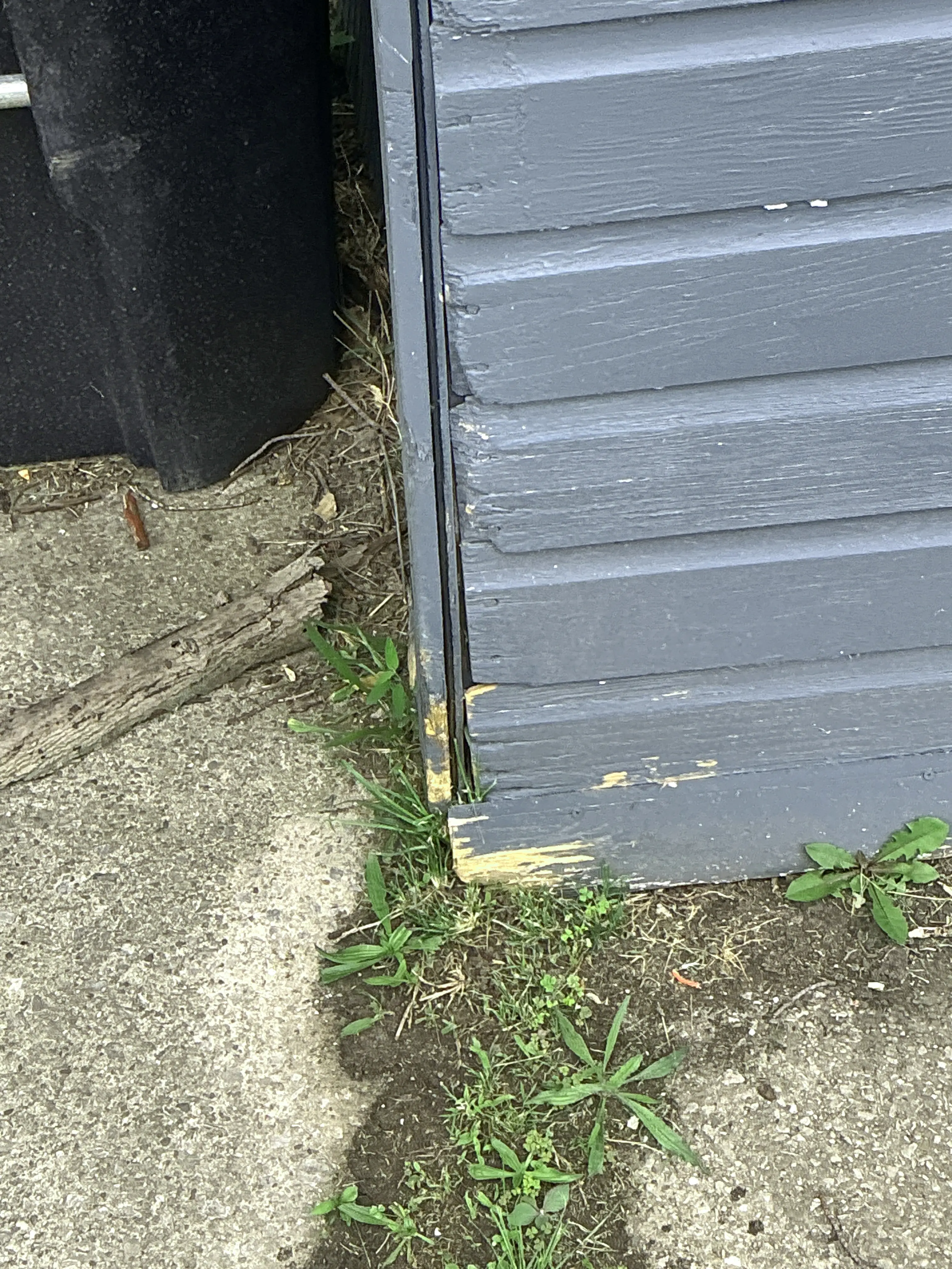 Wood siding rot and moisture damage home inspection finding 2026-07-05
