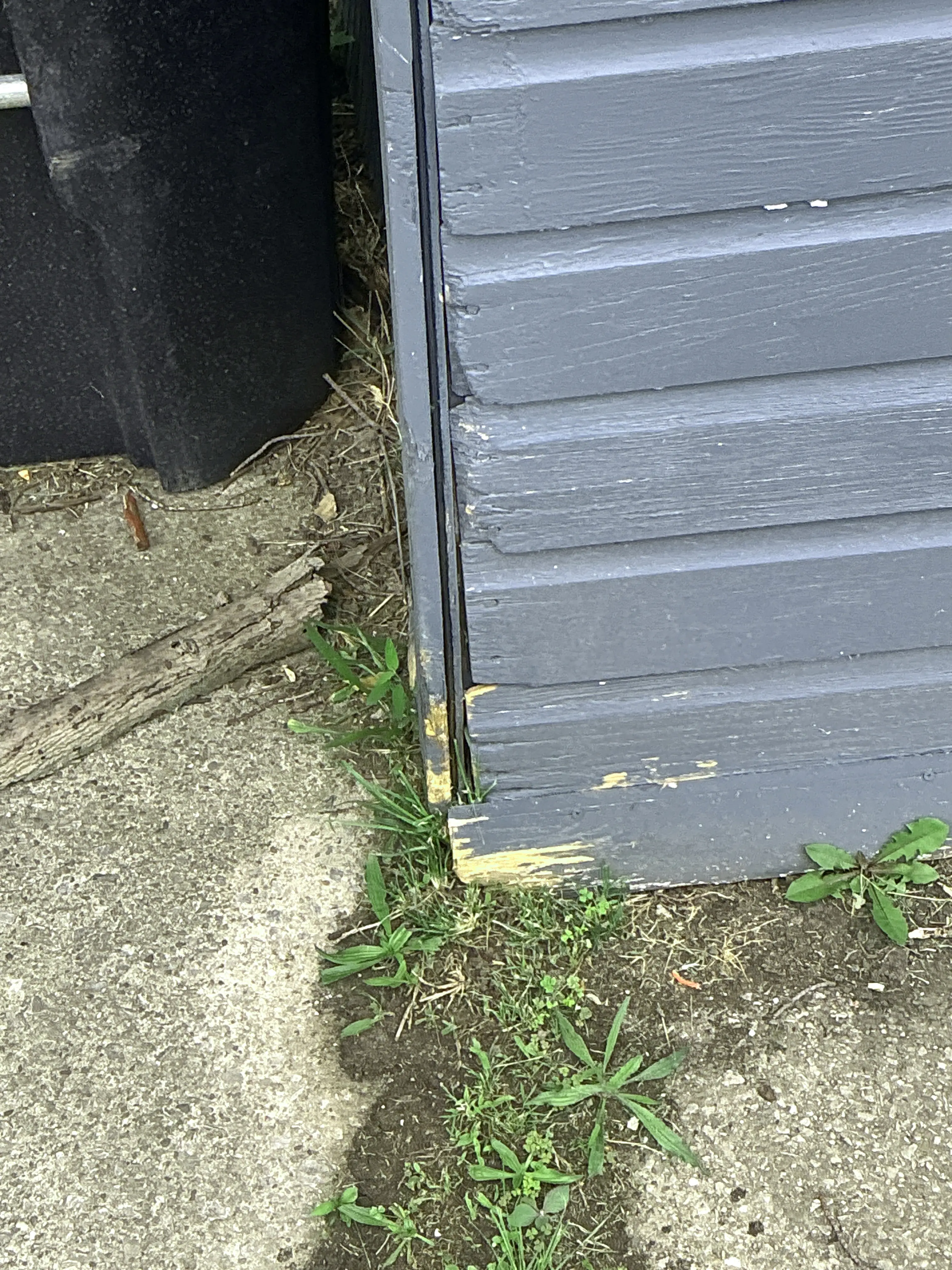 Wood siding rot and moisture damage mold testing finding 2026-07-21