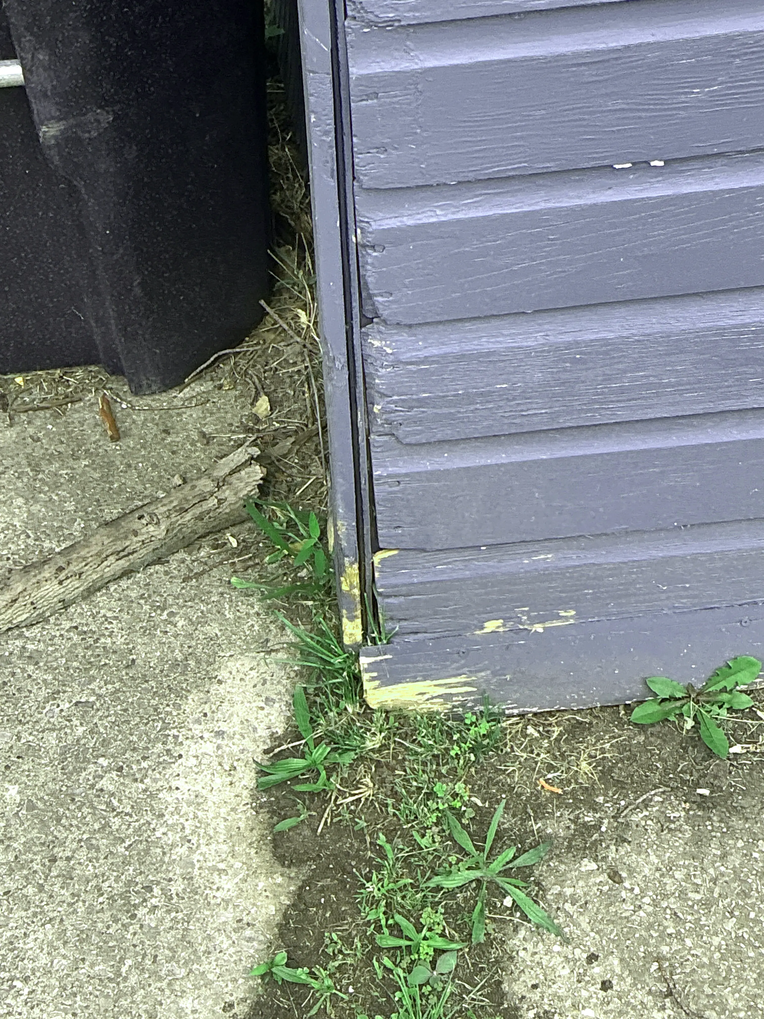 Wood siding rot and moisture damage lead inspection finding 2026-09-01