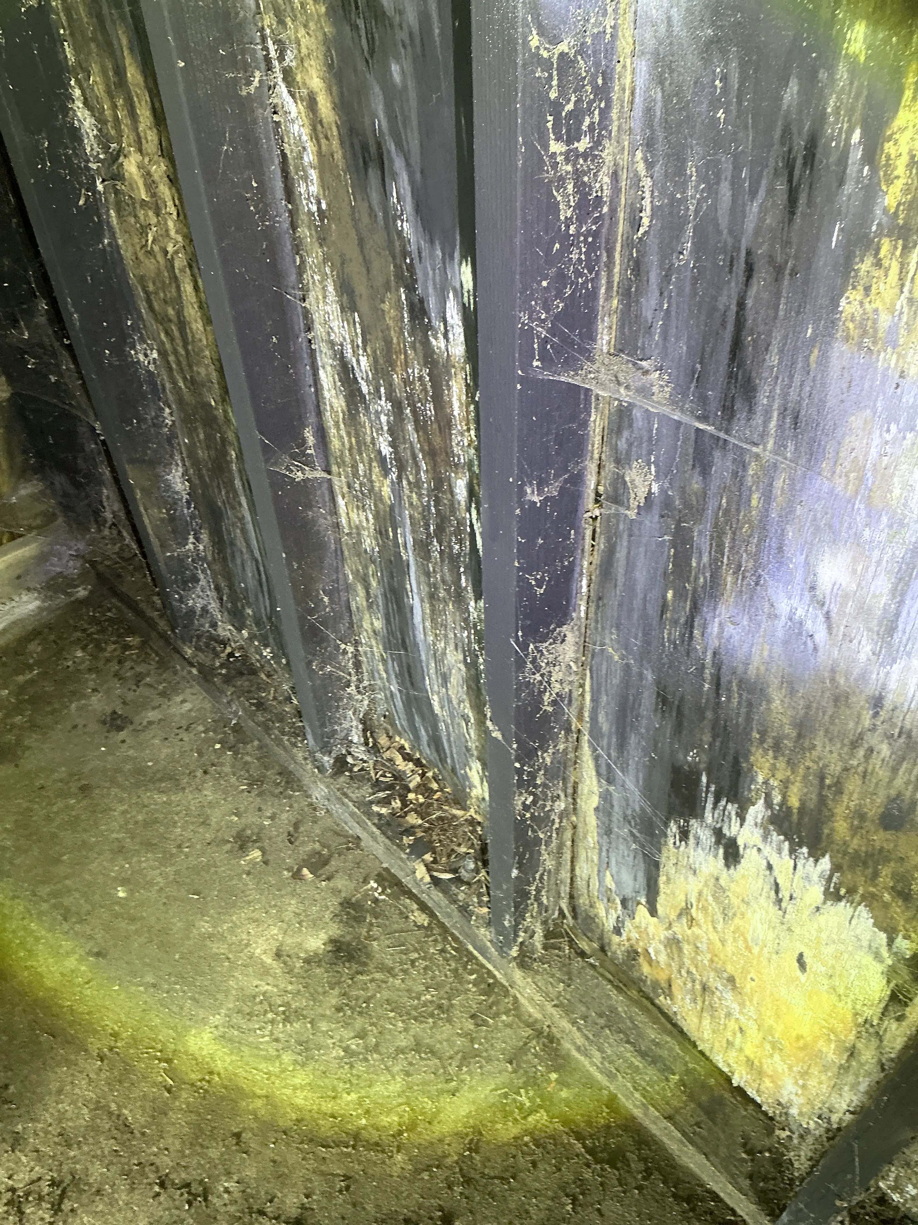 Water damage and wood rot on crawl space floor joists 2026-08-16