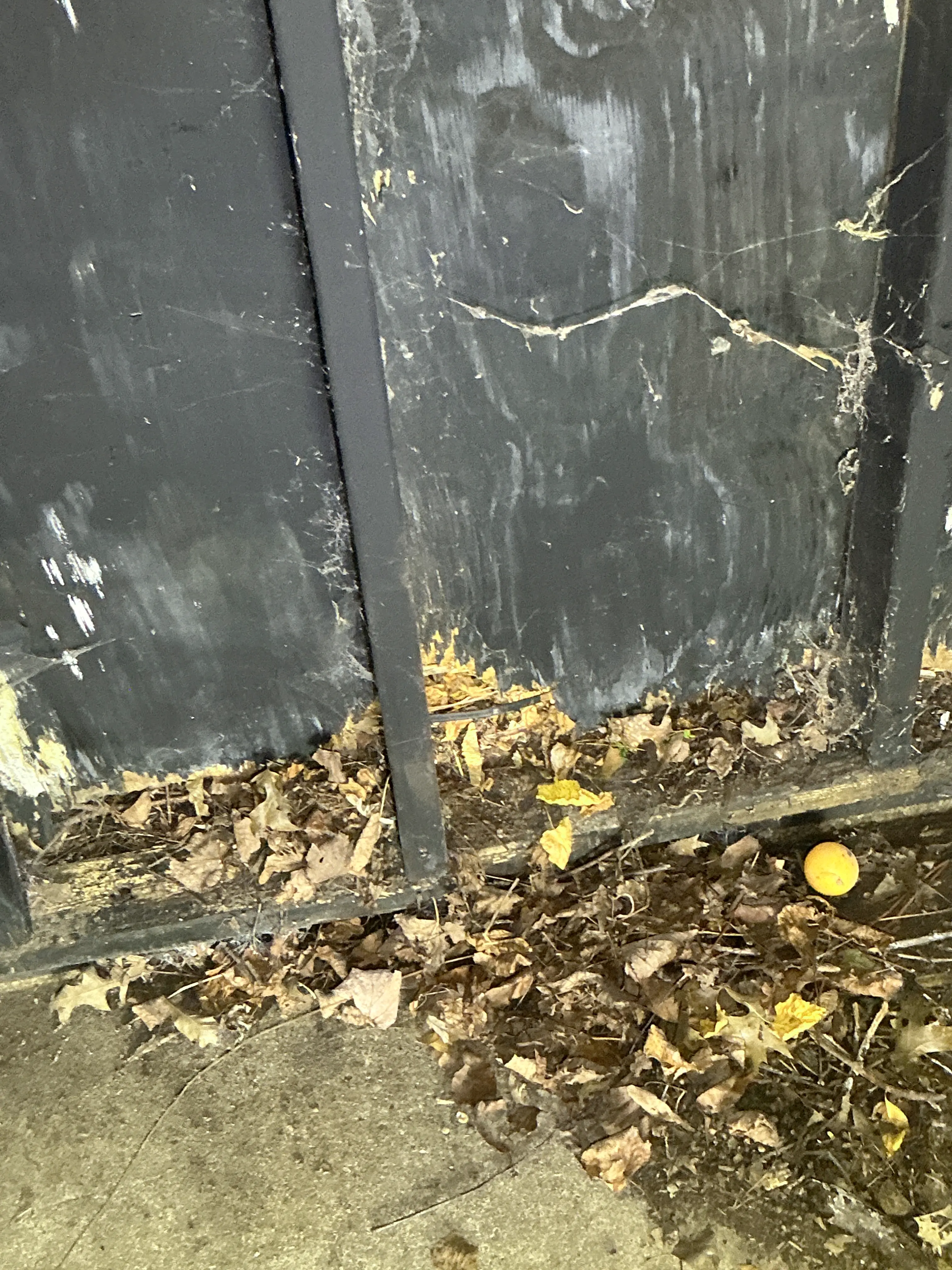 Leaf and debris accumulation along deteriorating dark wood framing during a home inspection. 2026-07-21