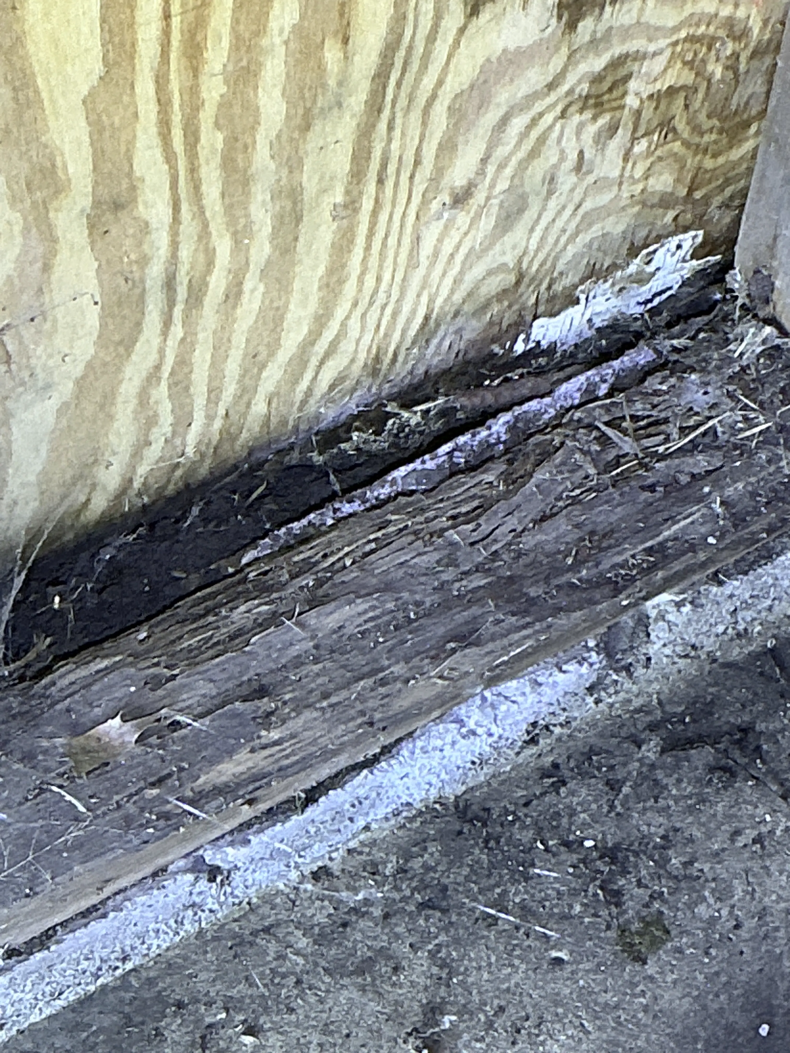 Rotted framing wood and moisture damage shown during a home inspection 2026-08-02