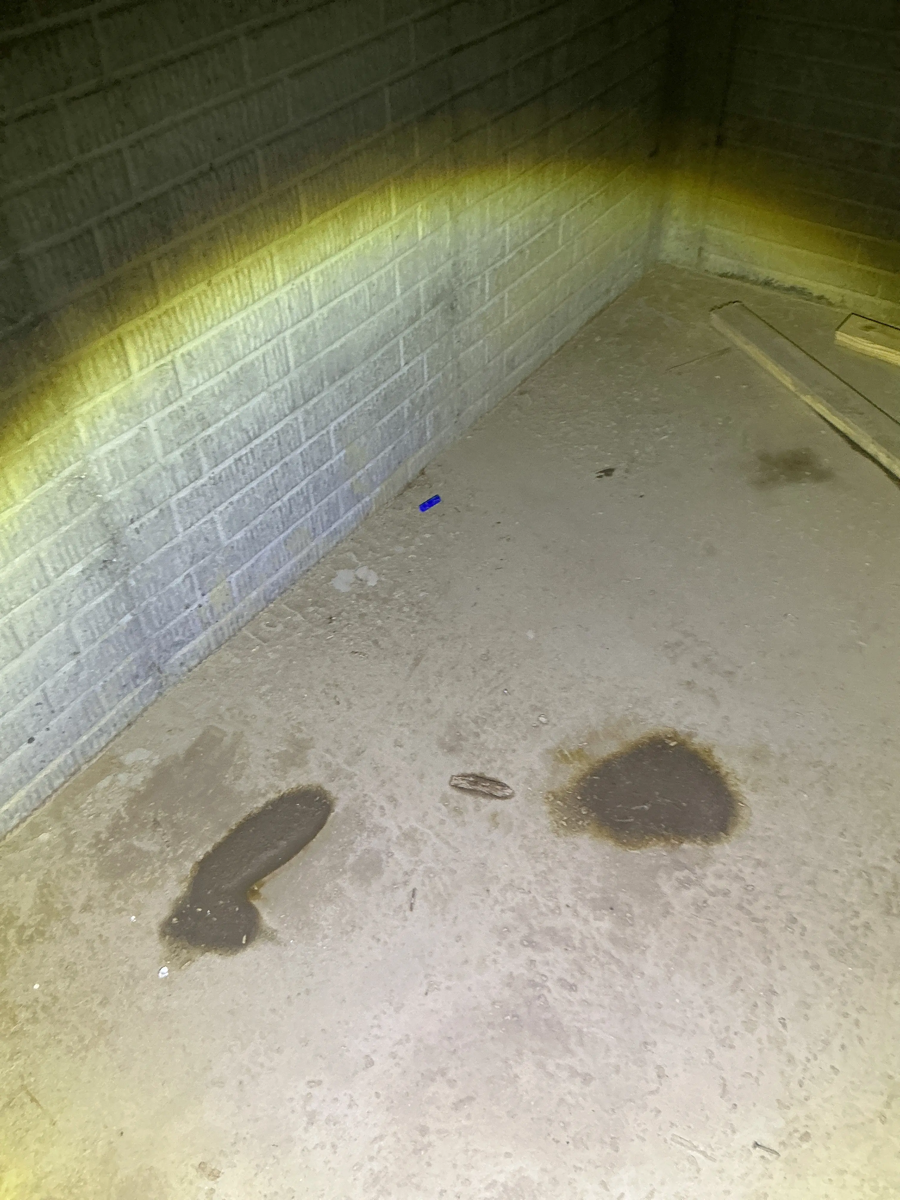 Moisture stains on concrete wall inspected for water leaks 2026-07-19